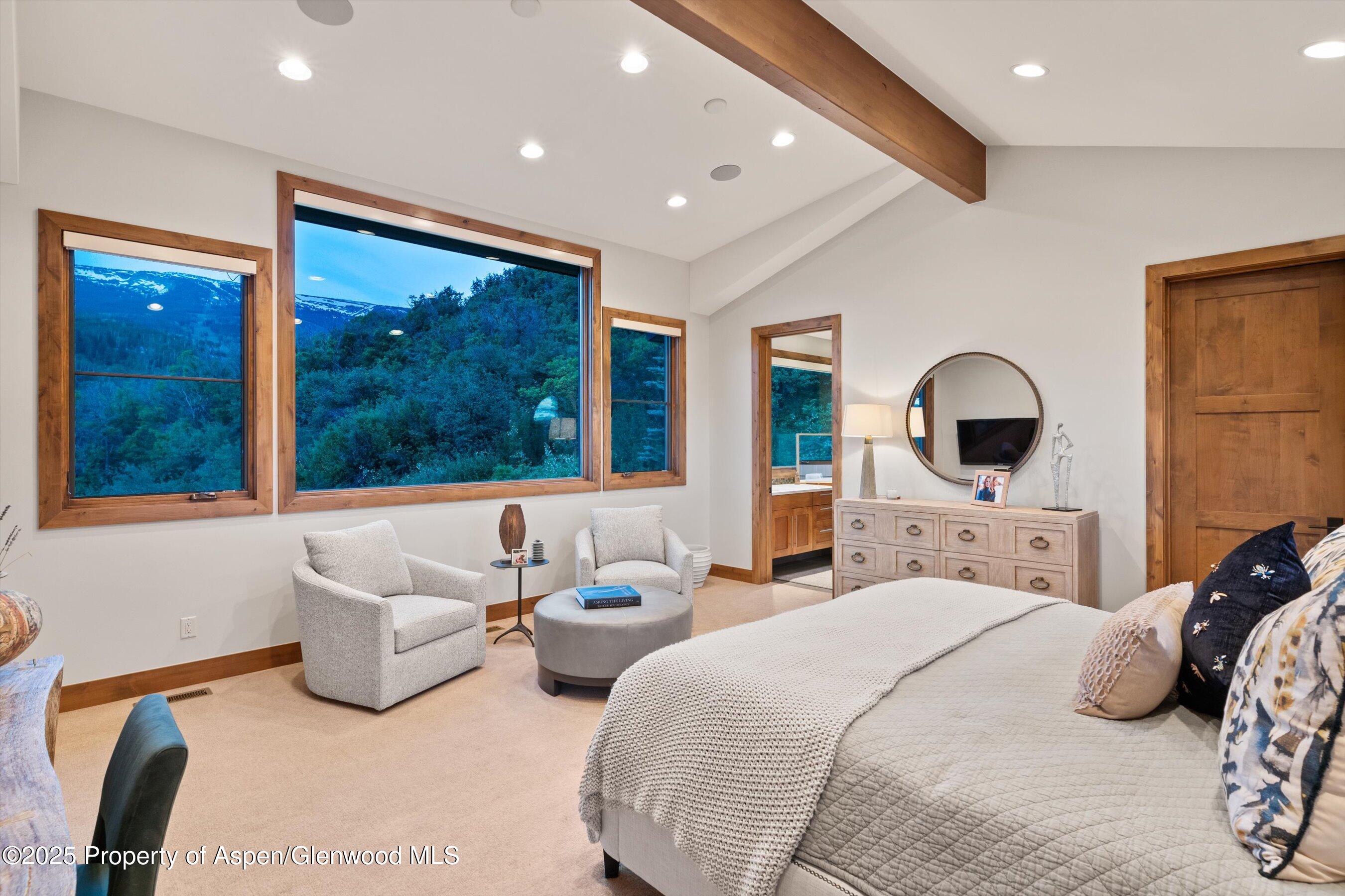 238 Terrace Drive Snowmass Village CO 81615