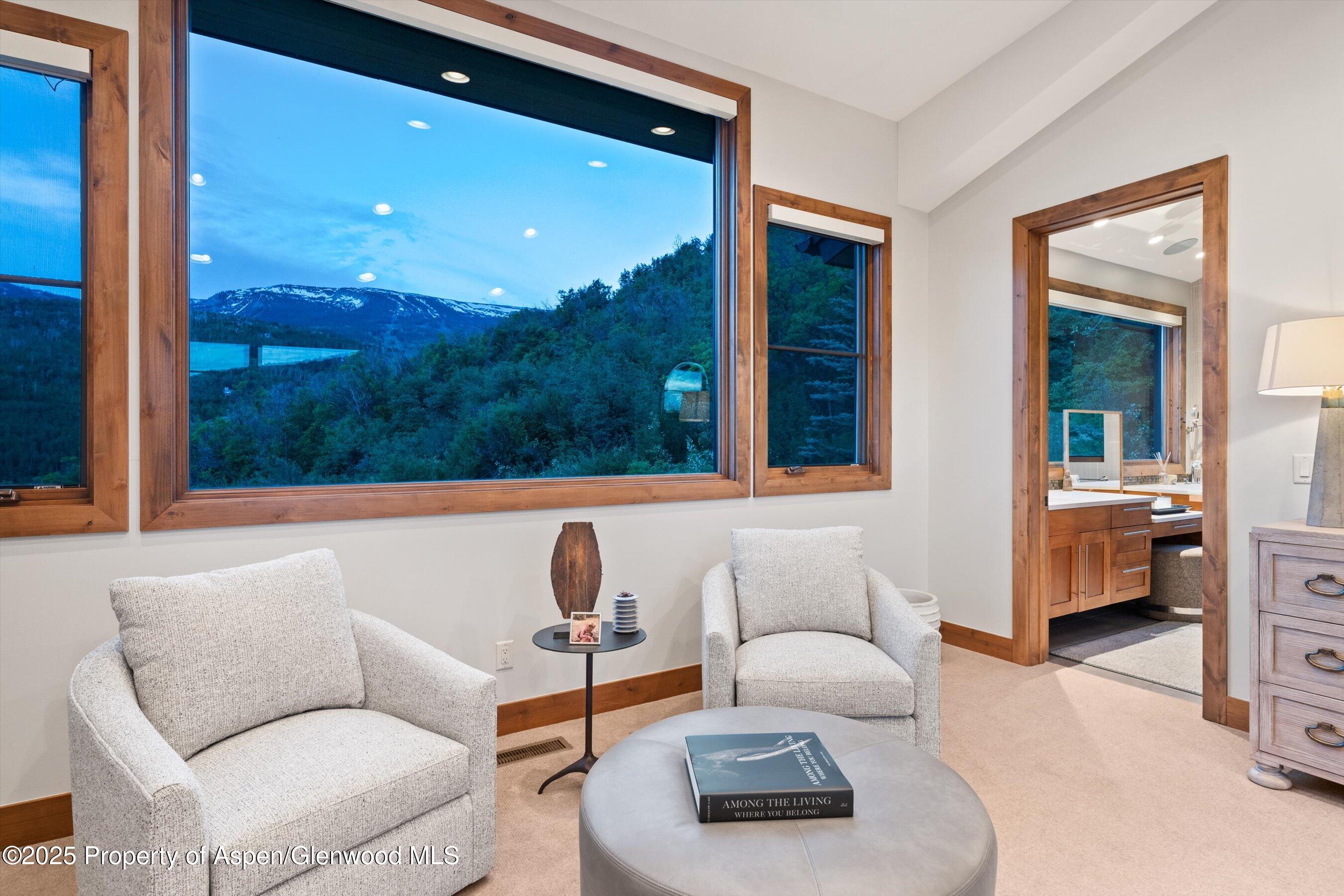 238 Terrace Drive Snowmass Village CO 81615