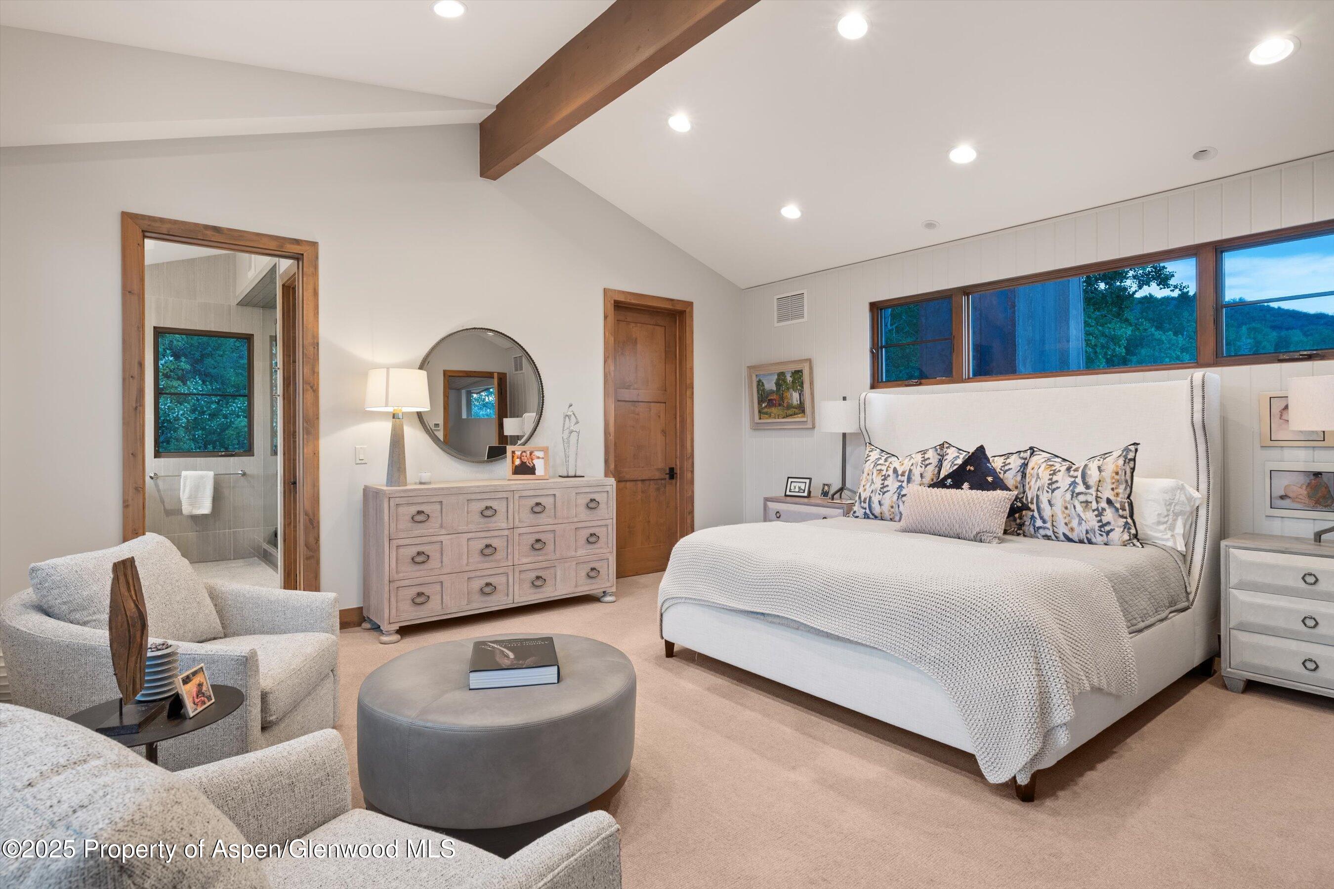 238 Terrace Drive Snowmass Village CO 81615