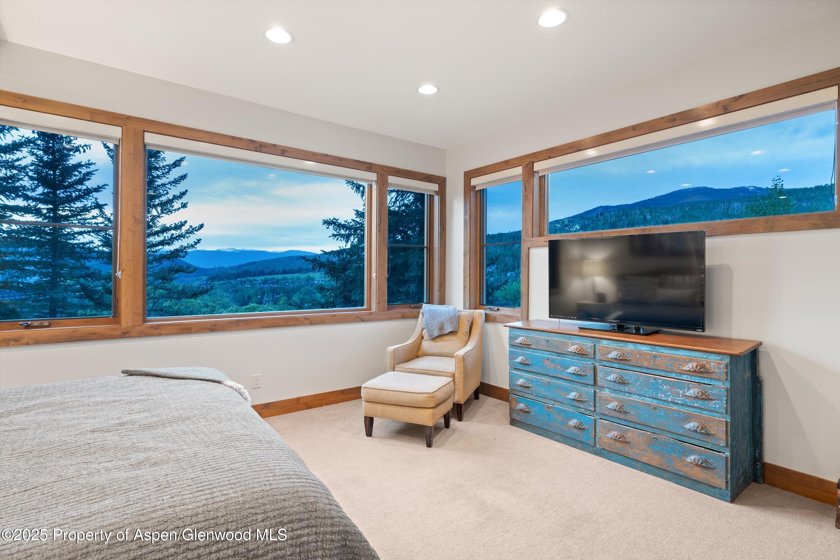 238 Terrace Drive Snowmass Village CO 81615