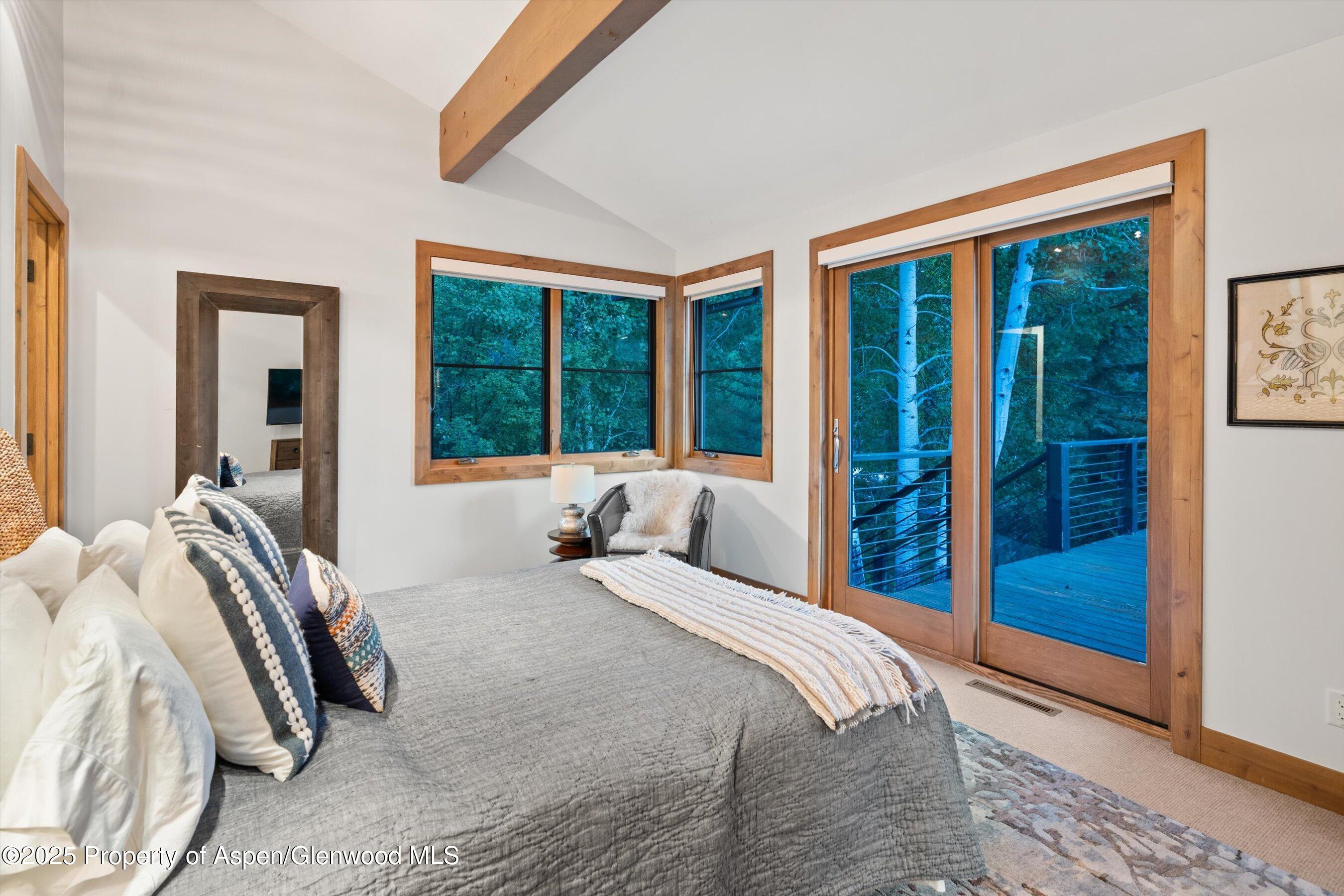 238 Terrace Drive Snowmass Village CO 81615