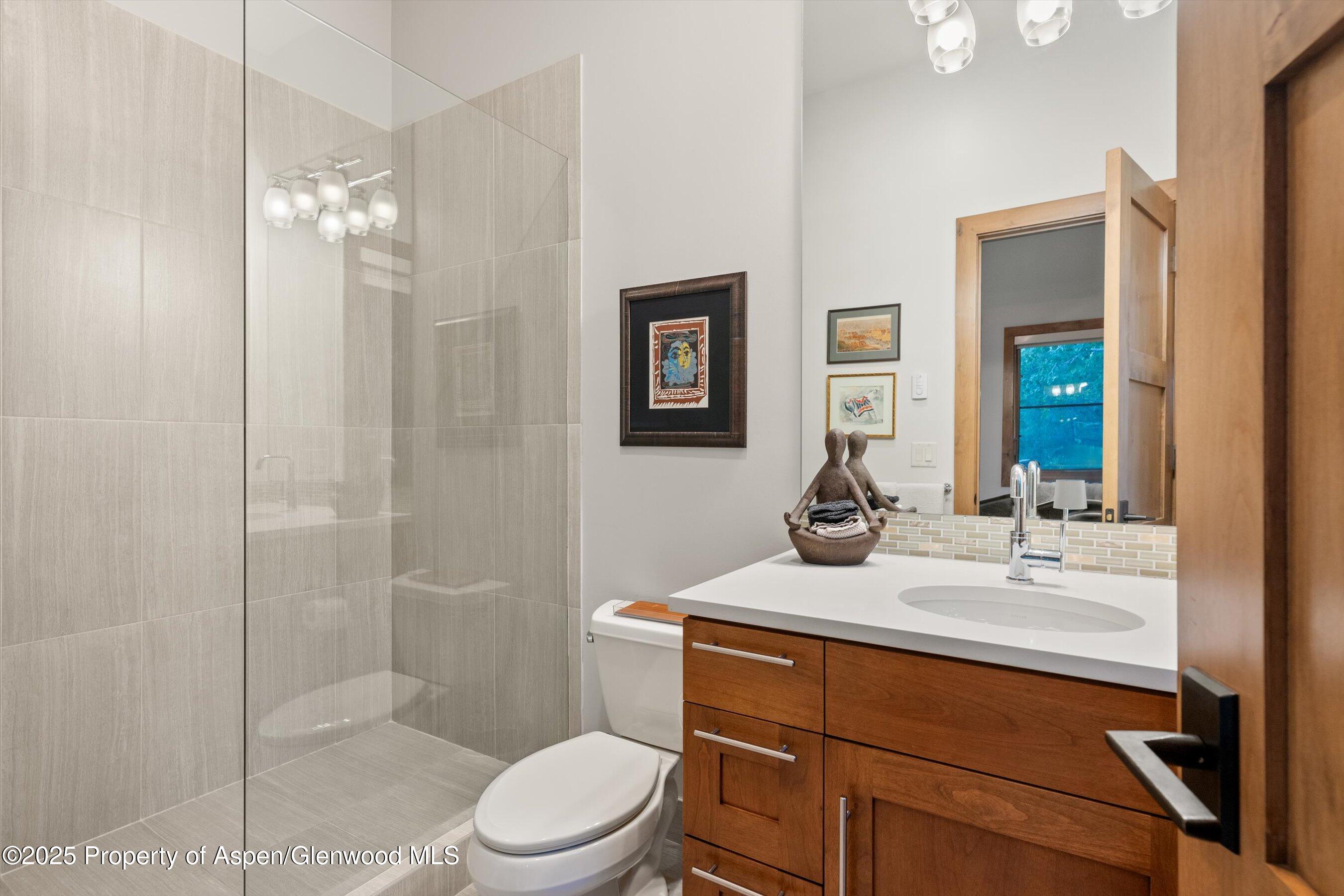 238 Terrace Drive Snowmass Village CO 81615