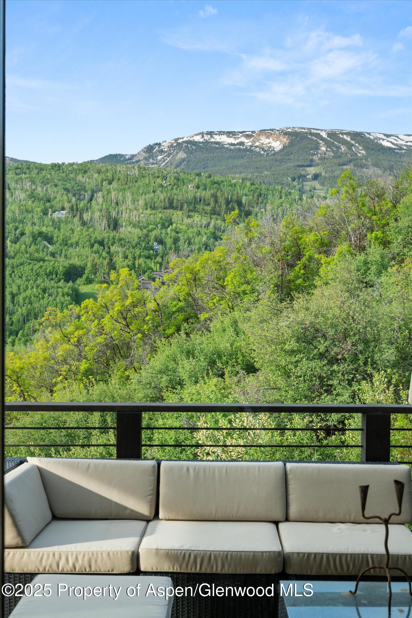 238 Terrace Drive Snowmass Village CO 81615