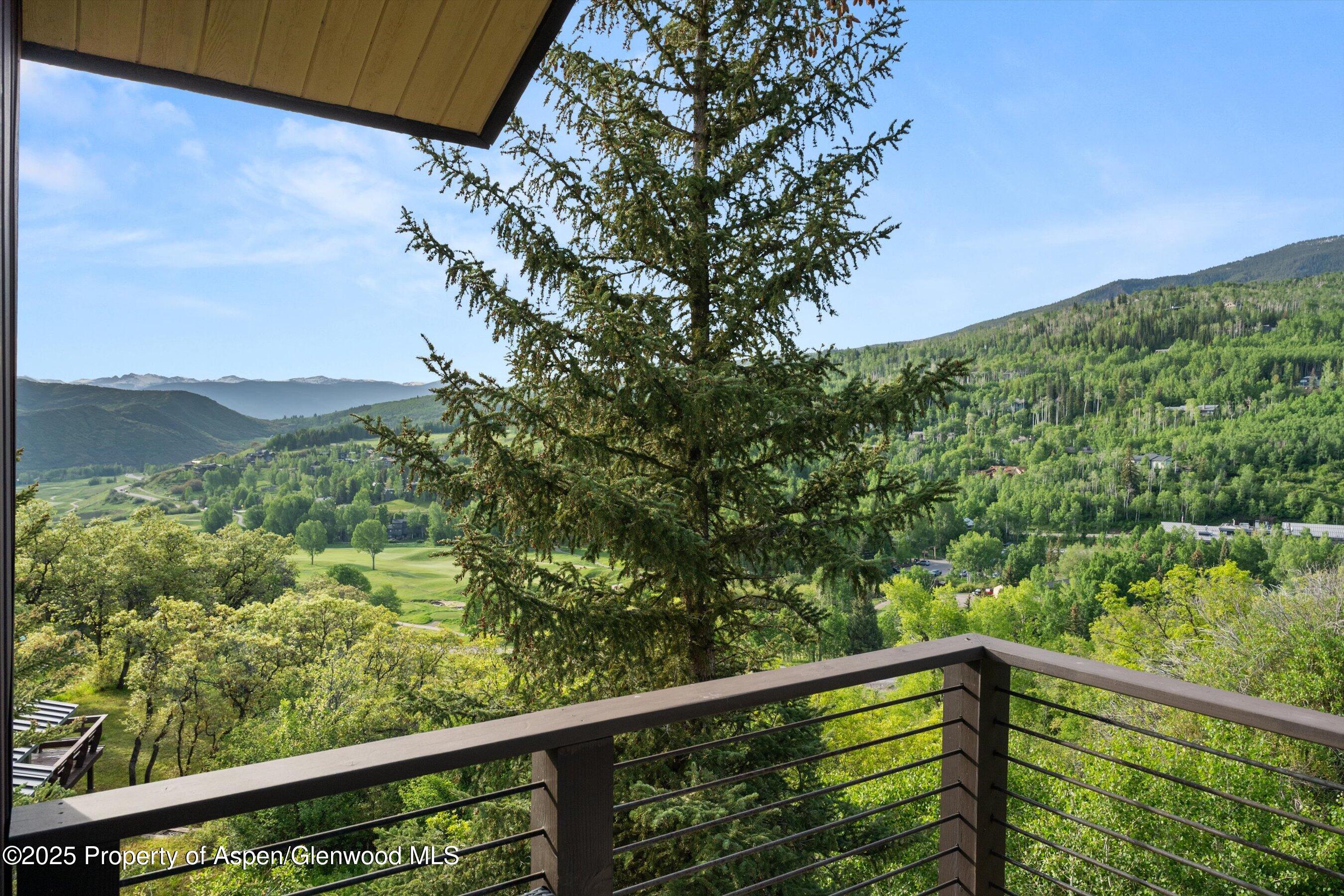 238 Terrace Drive Snowmass Village CO 81615