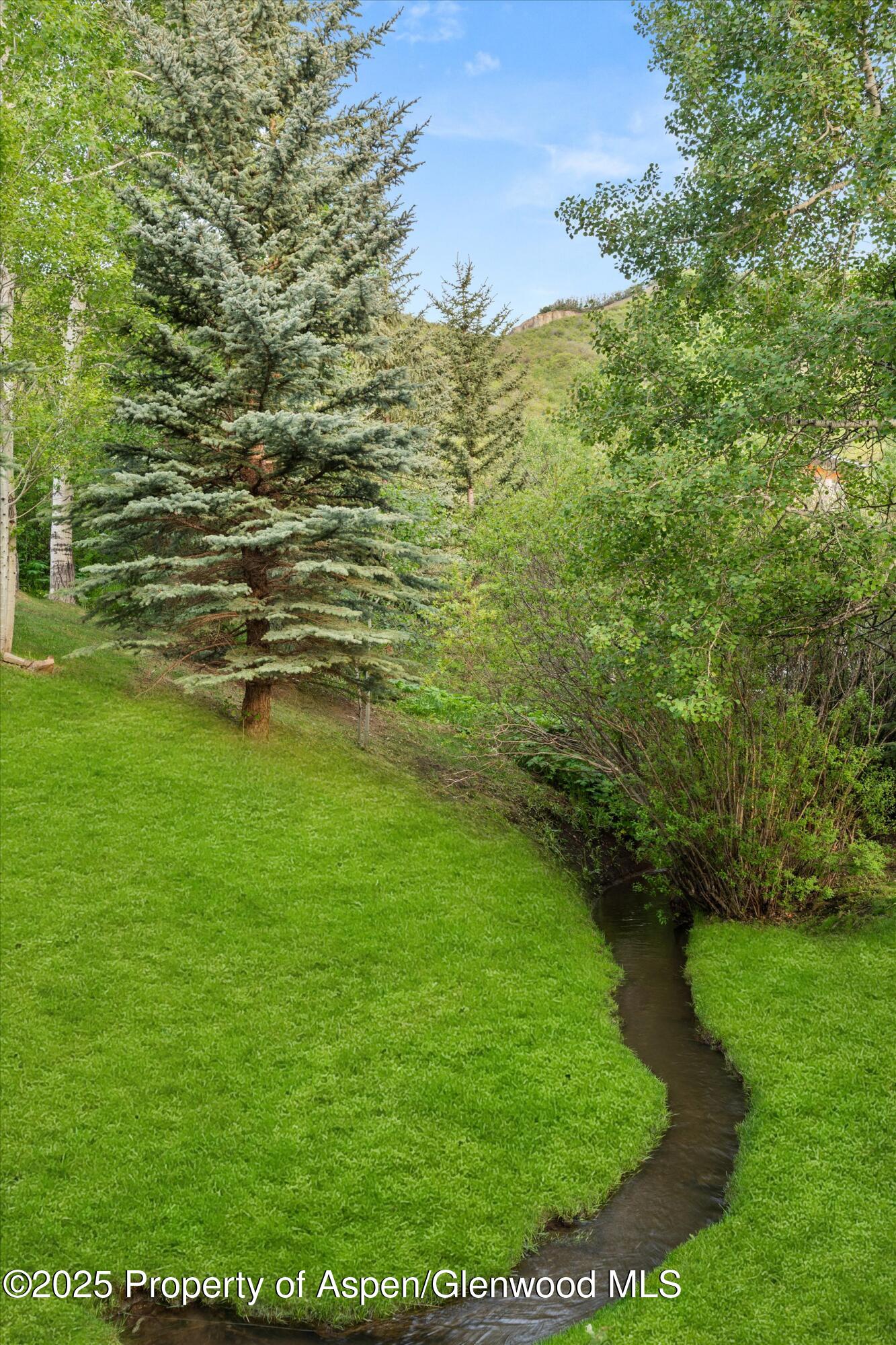 238 Terrace Drive Snowmass Village CO 81615