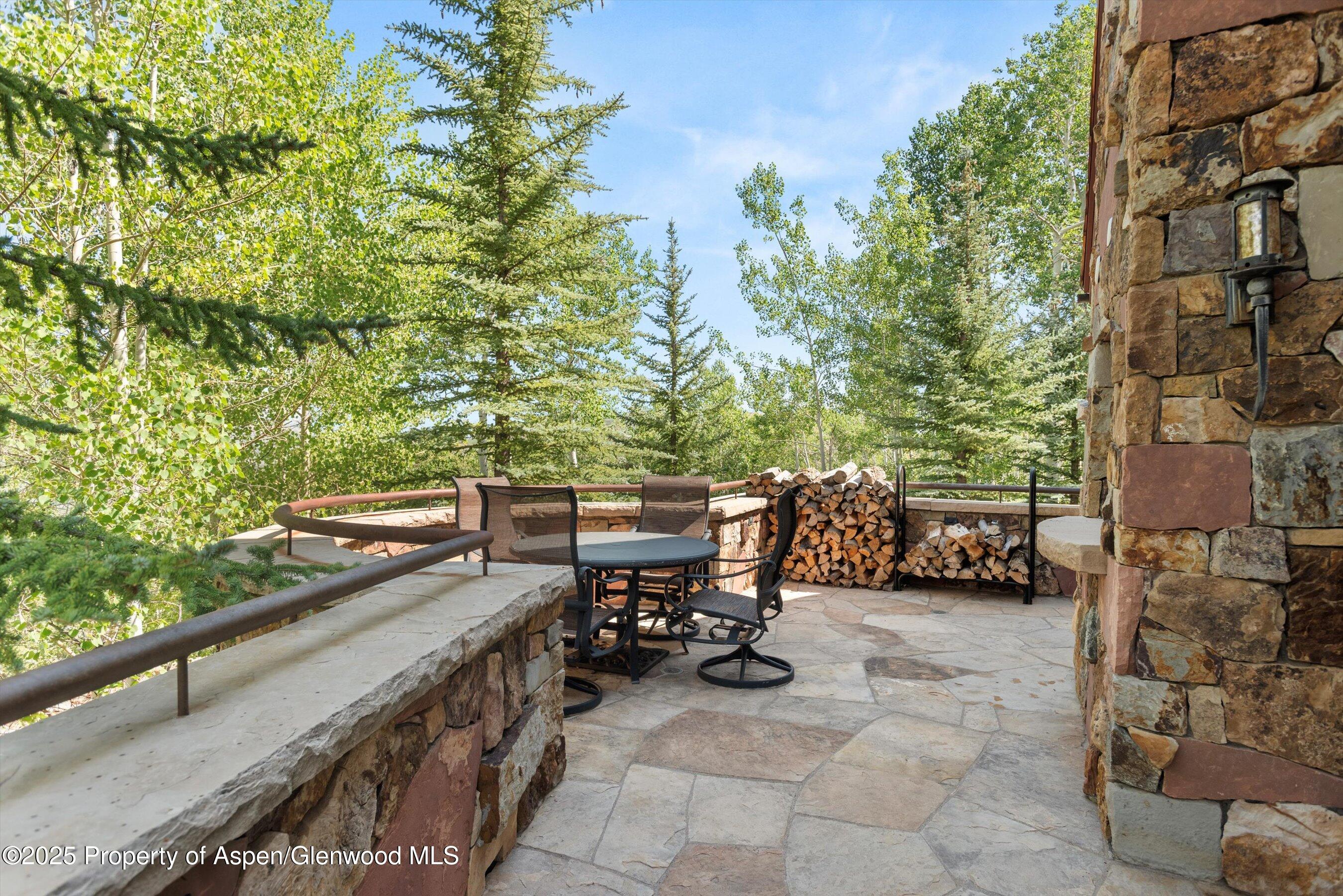 824 Pine Crest Lane Snowmass Village CO 81615