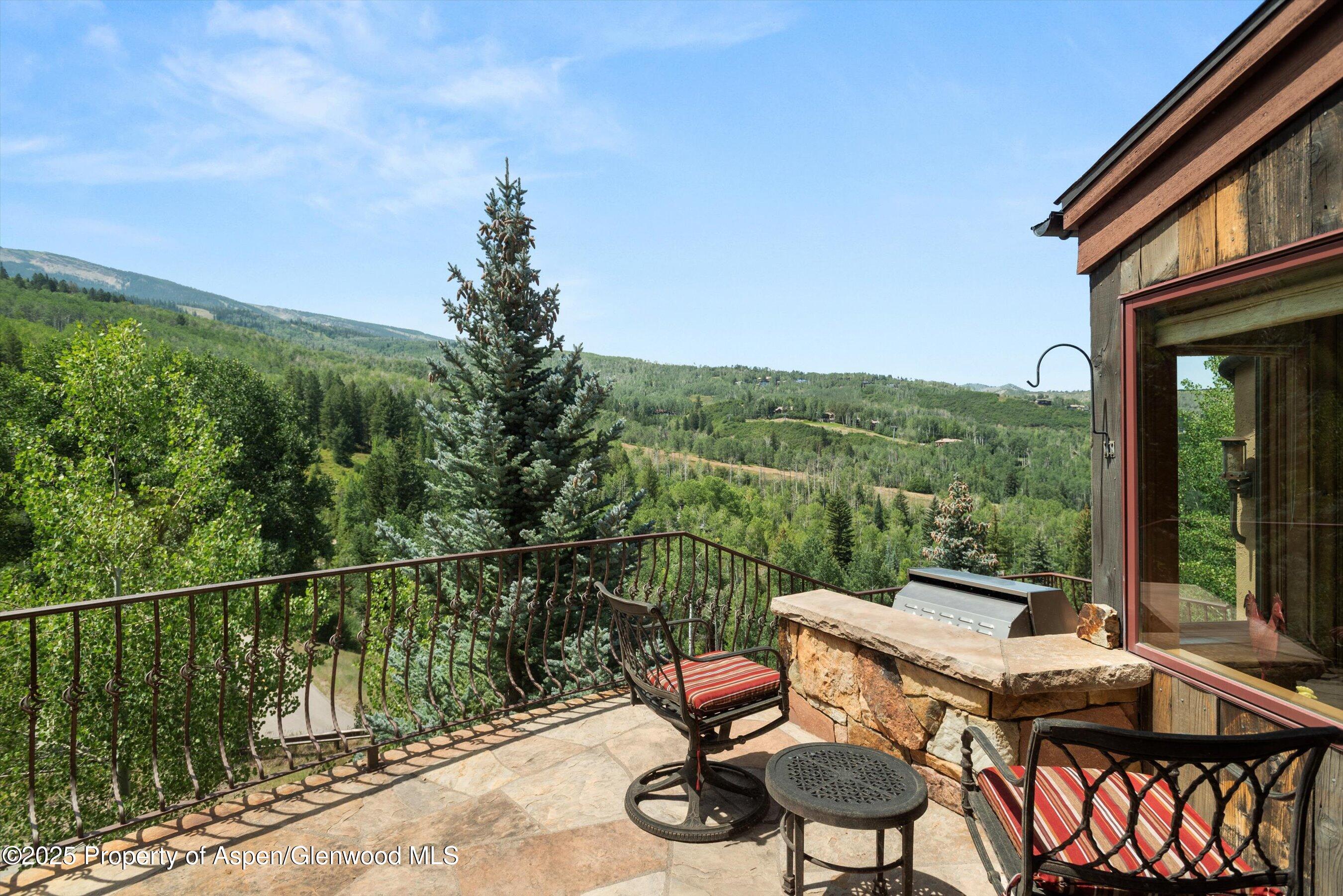 824 Pine Crest Lane Snowmass Village CO 81615
