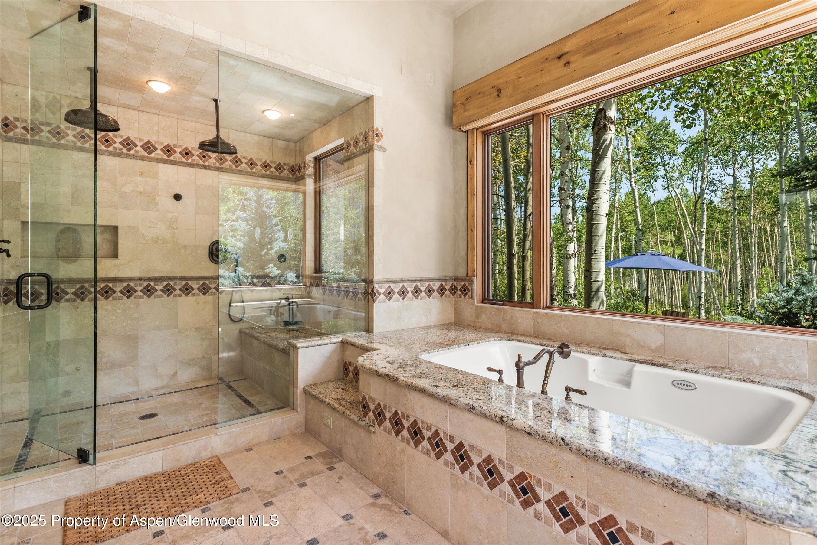 824 Pine Crest Lane Snowmass Village CO 81615