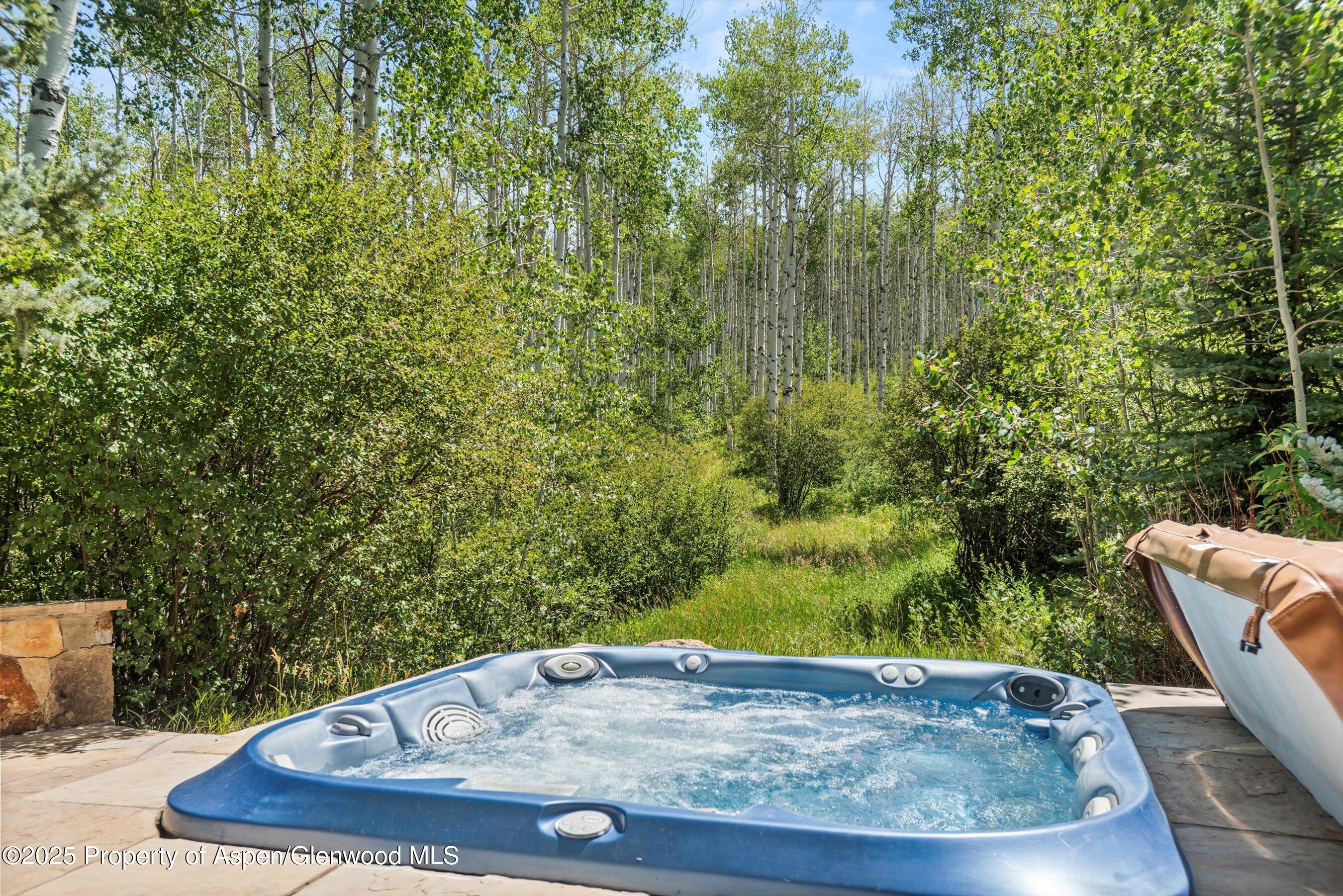 824 Pine Crest Lane Snowmass Village CO 81615