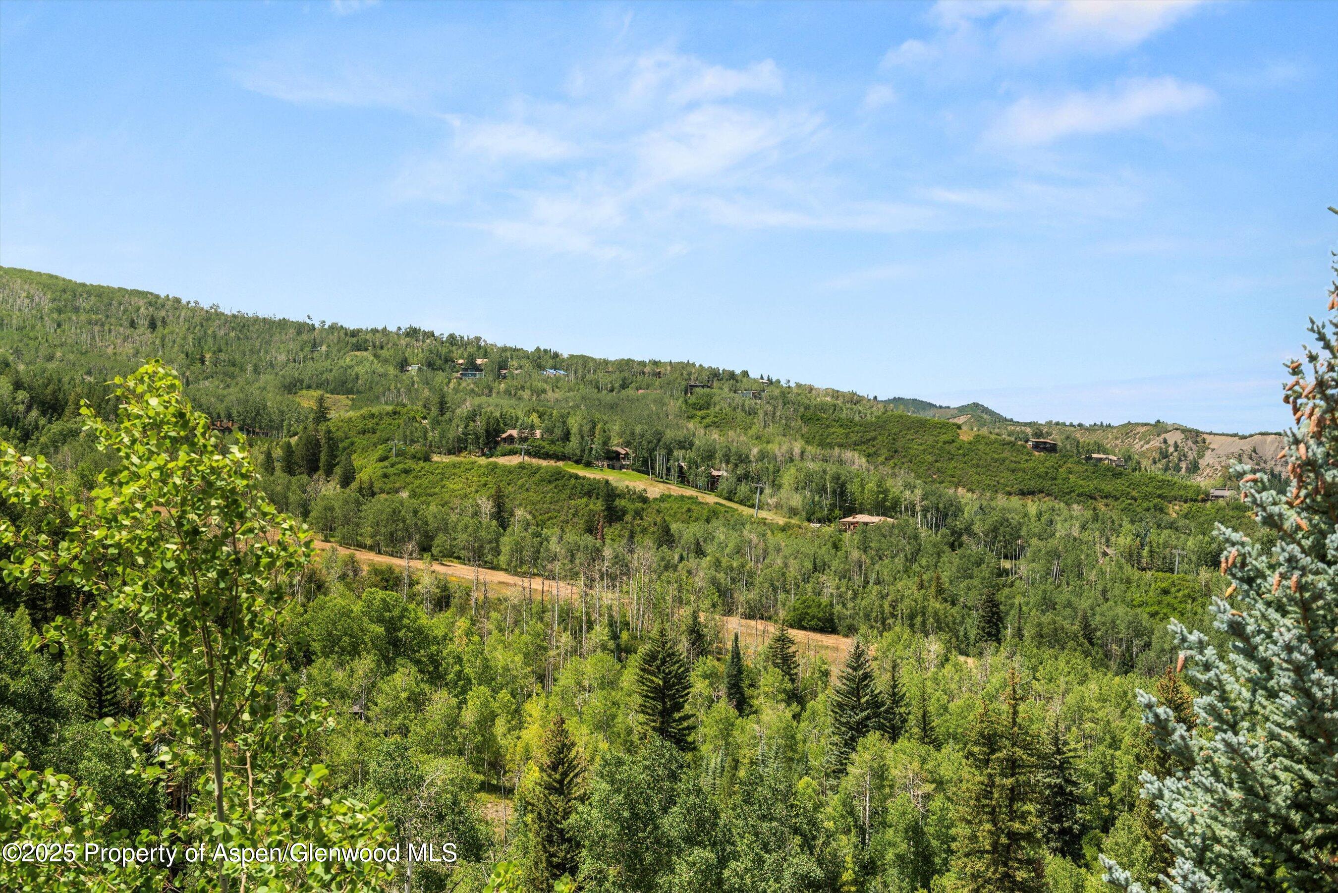 824 Pine Crest Lane Snowmass Village CO 81615