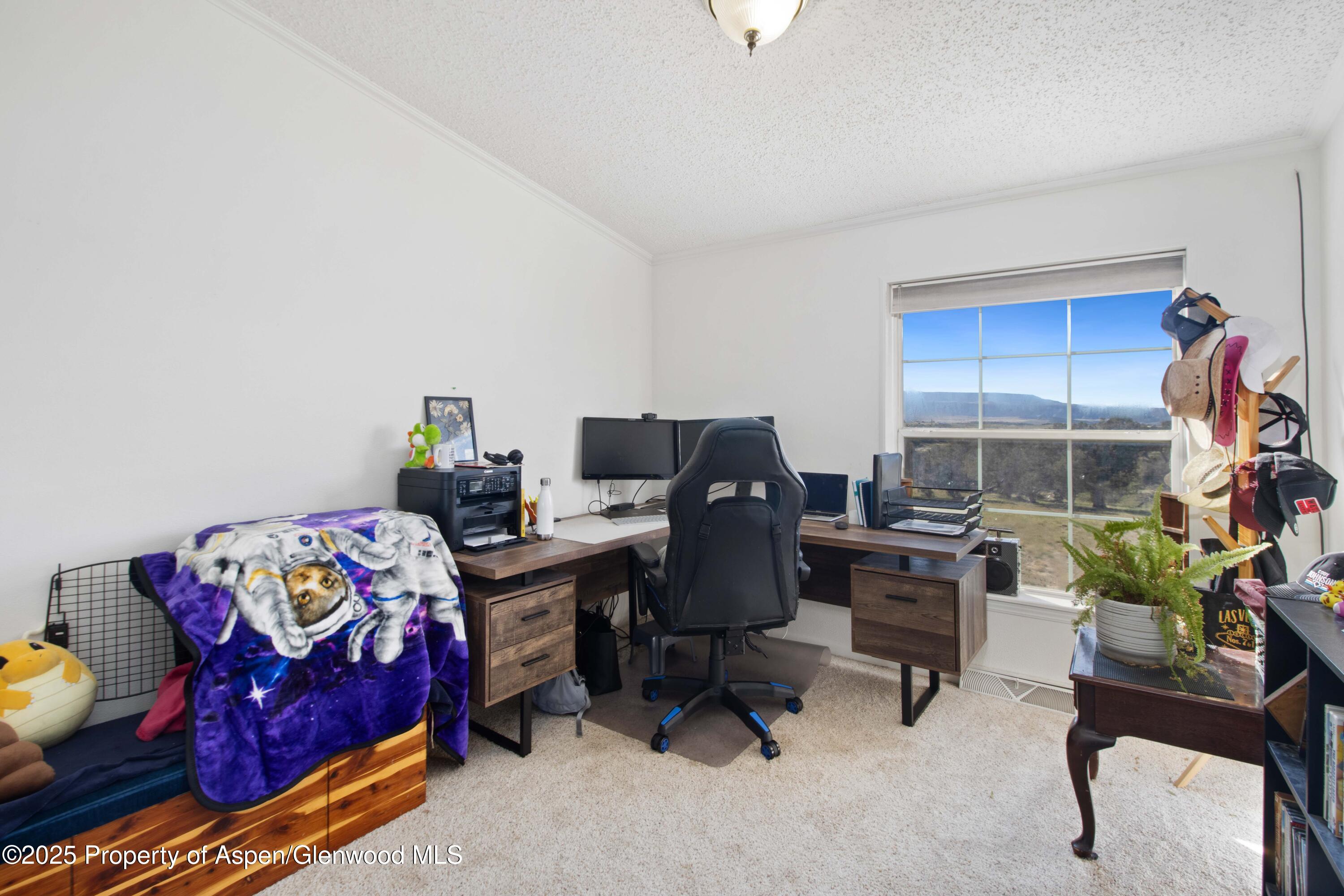 260 Lazy S Reverse S Drive New Castle CO 81647