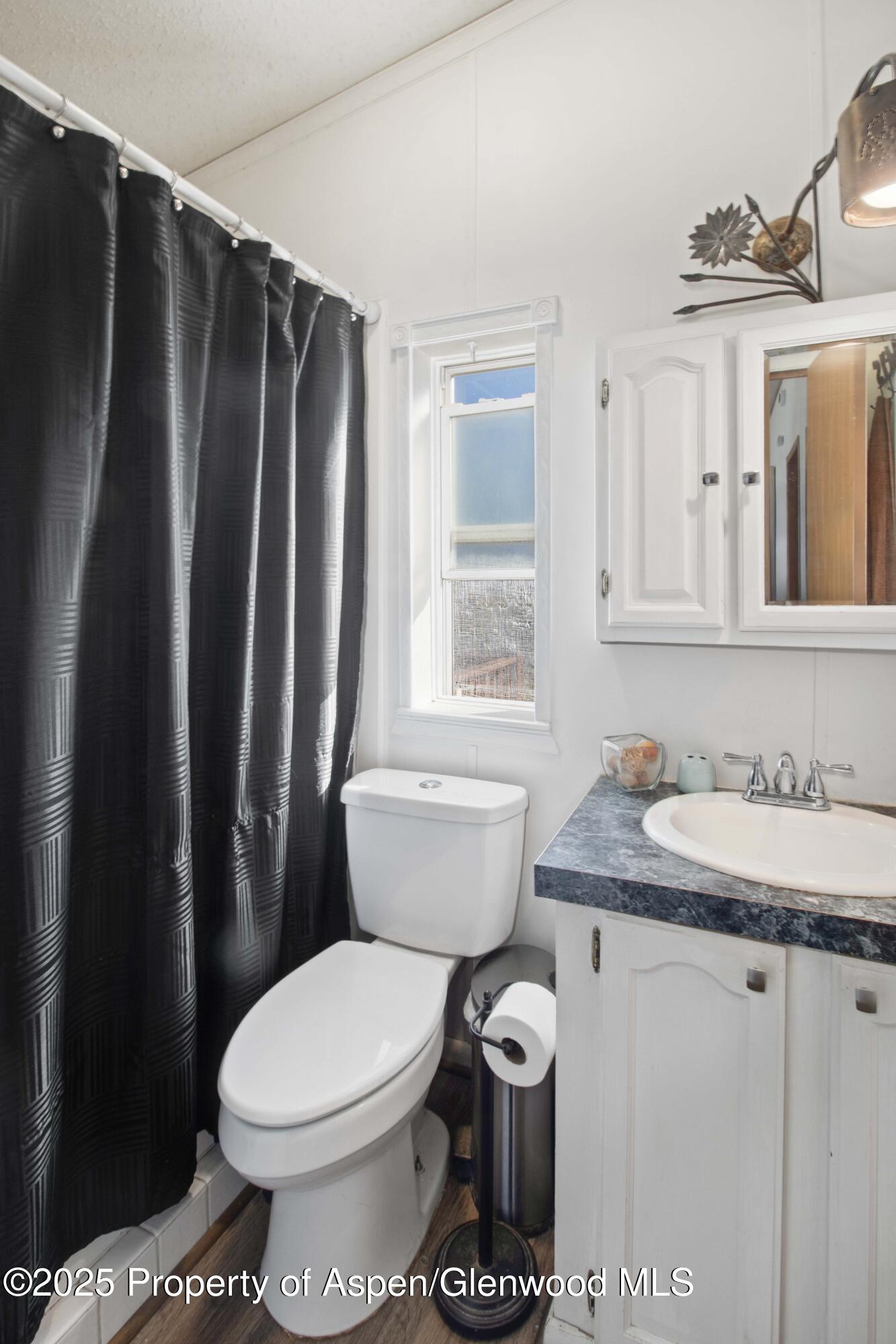 260 Lazy S Reverse S Drive New Castle CO 81647