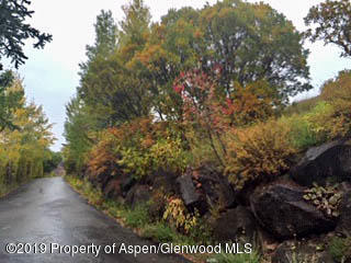 403 Big Hat Road Basalt CO 81621
