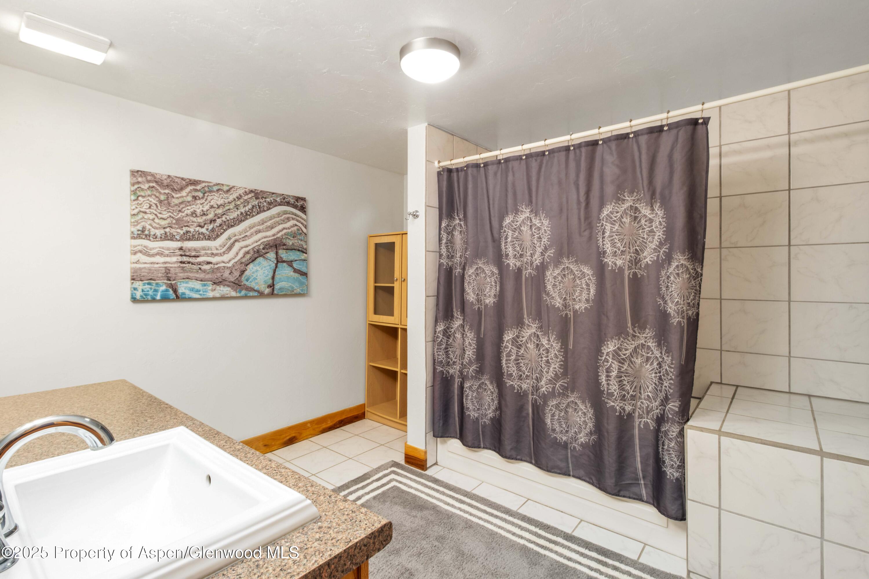 228 Midland Point Road Carbondale CO 81623