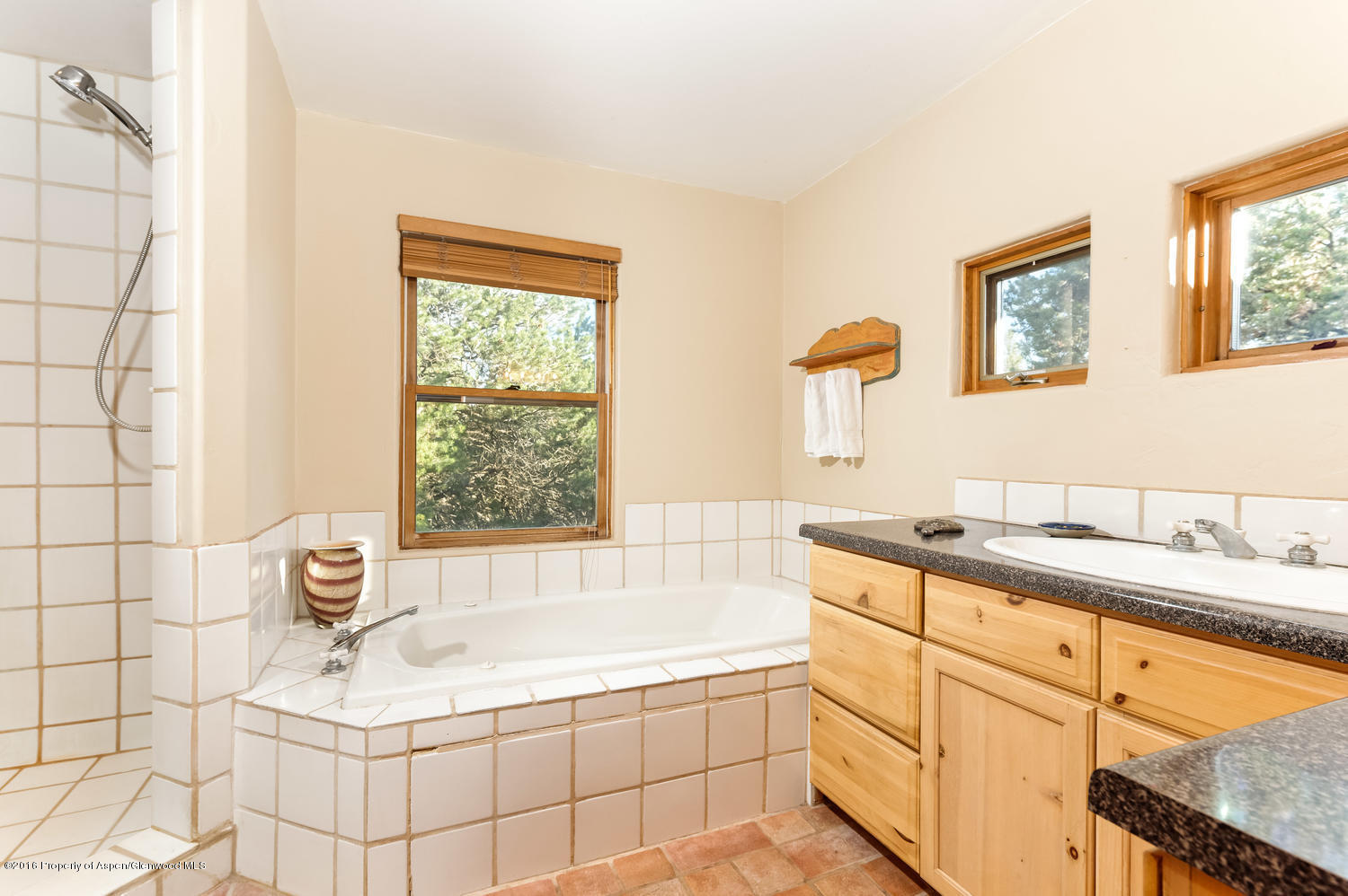 155 Maroon Mesa Road Carbondale CO 81623