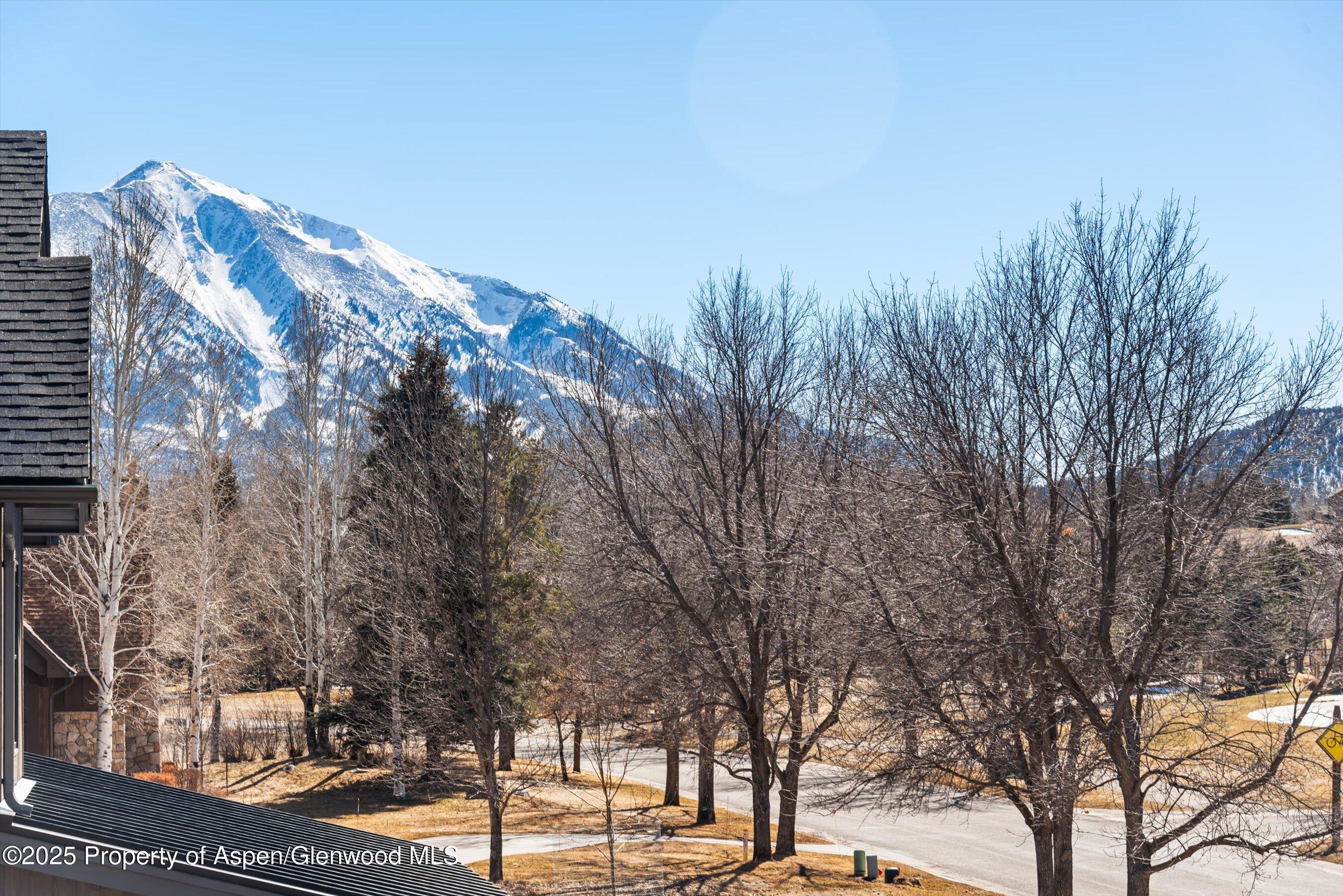 5135 Crystal Bridge Drive Carbondale CO 81623