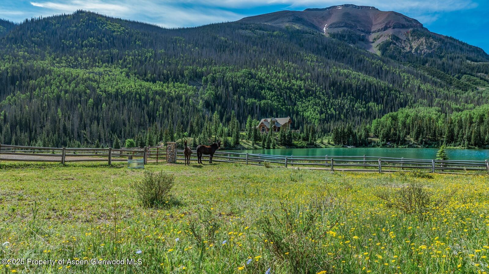 2418 Usfs Road 526 Creede CO 81130