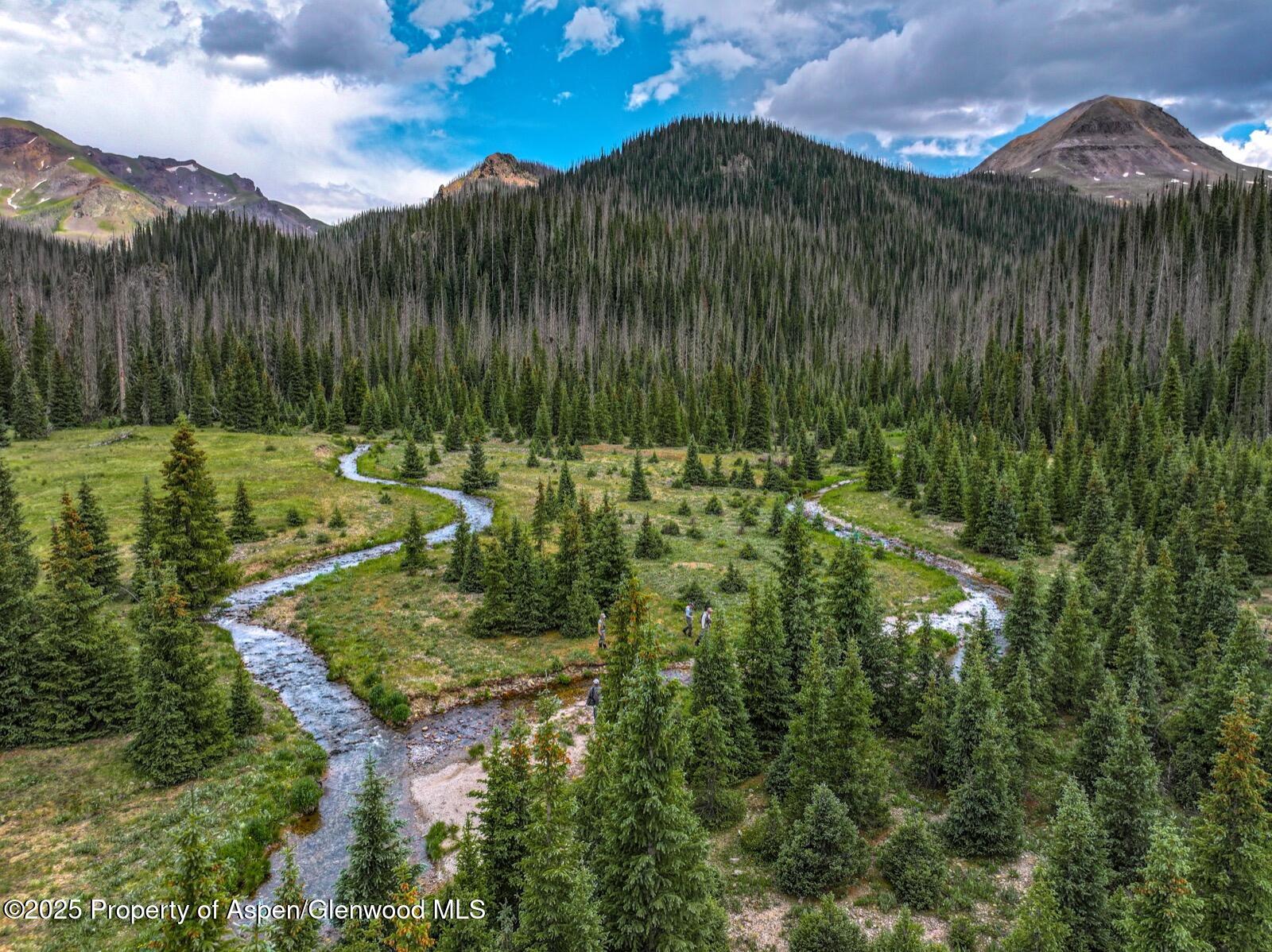 2418 Usfs Road 526 Creede CO 81130