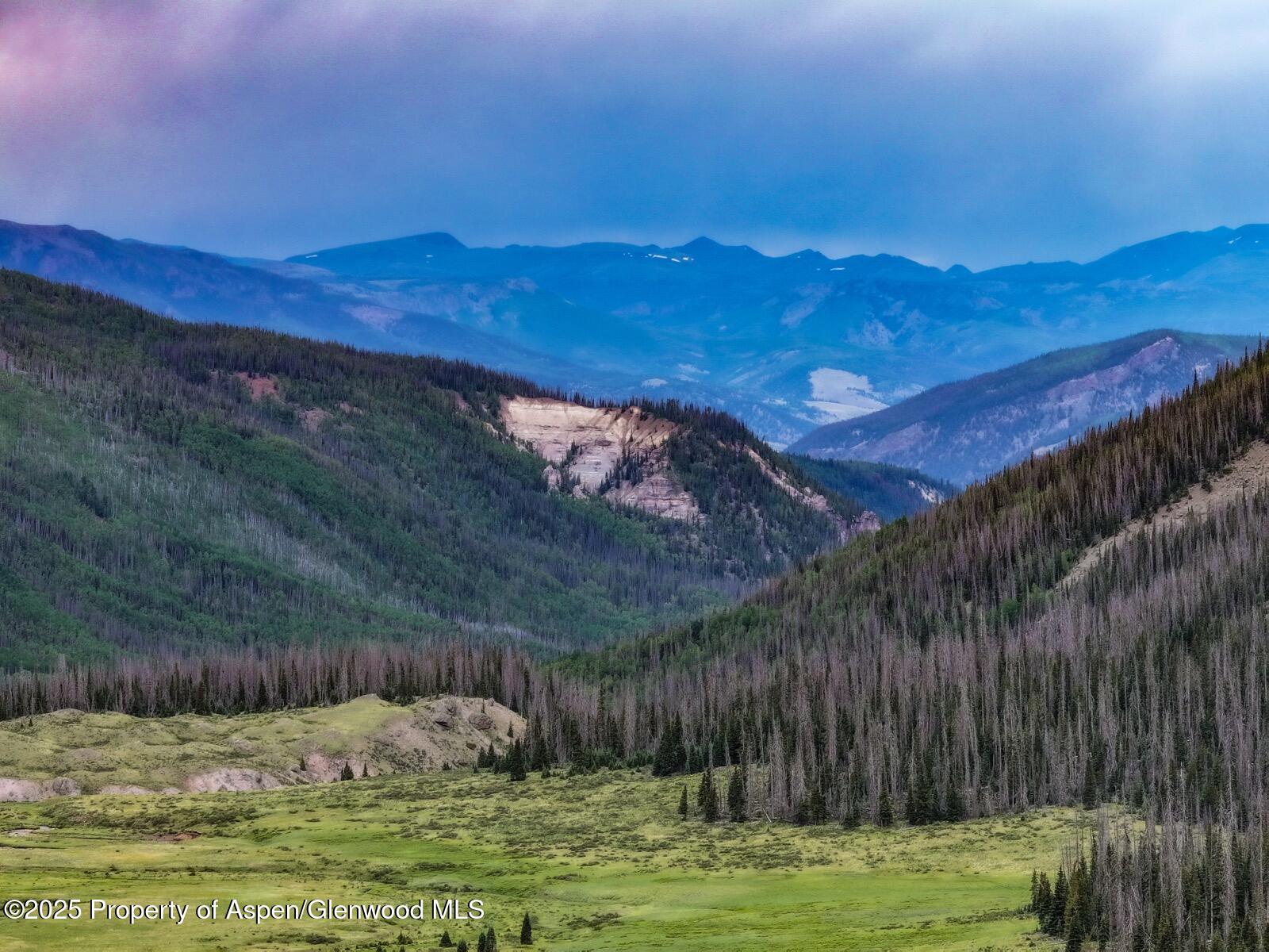 2418 Usfs Road 526 Creede CO 81130