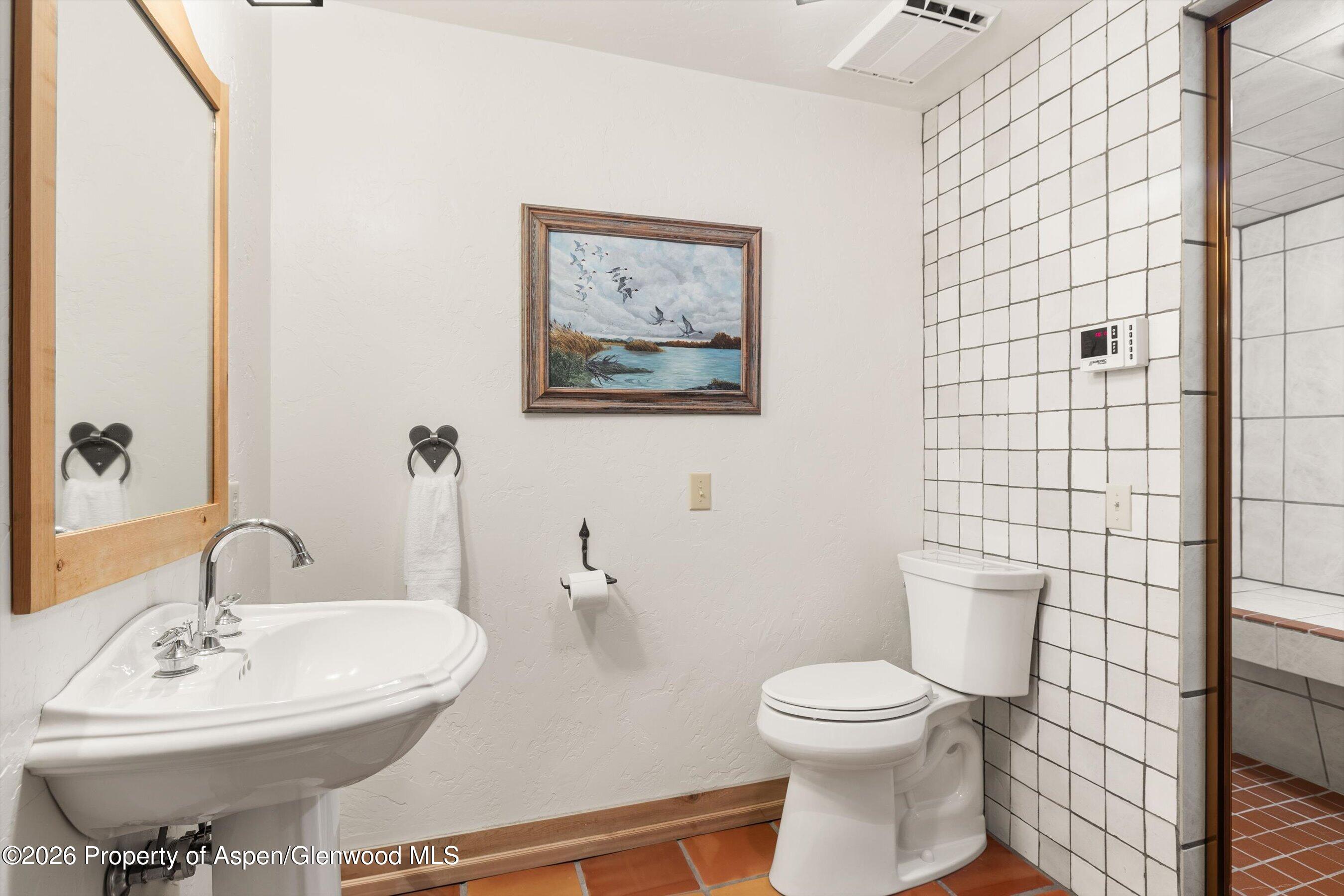 95 Sage Swale Road Carbondale CO 81623