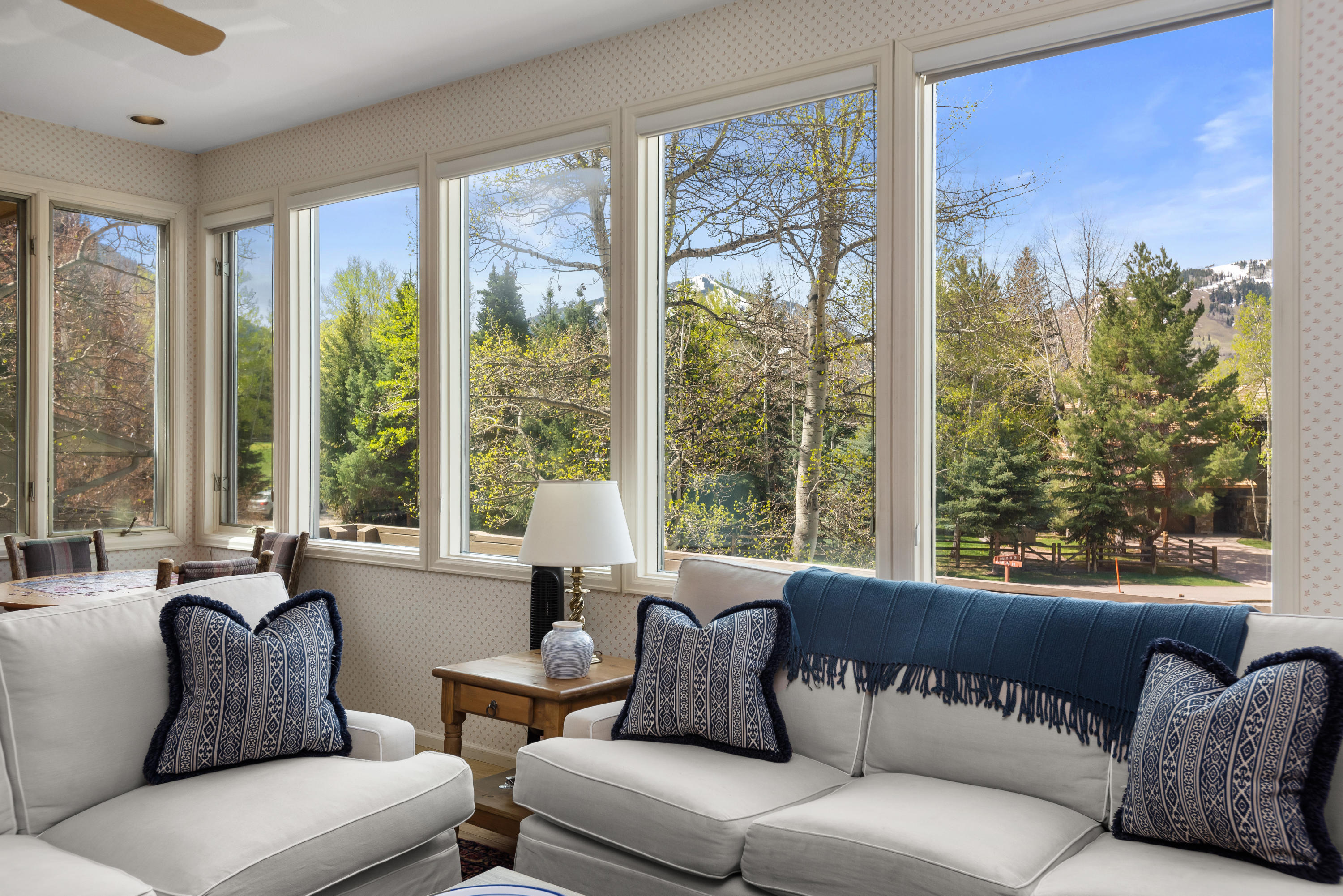 1480 Silver King Drive Aspen CO 81611