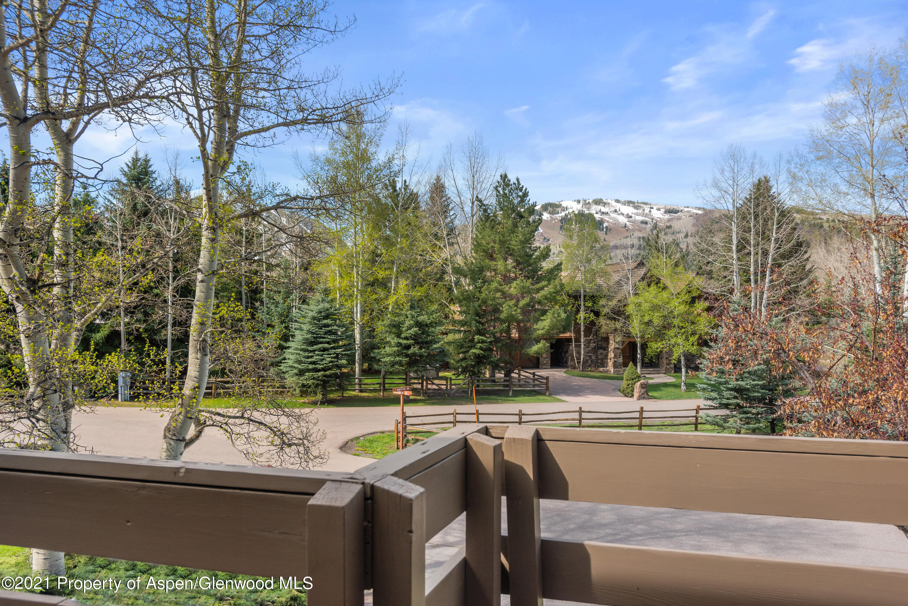 1480 Silver King Drive Aspen CO 81611