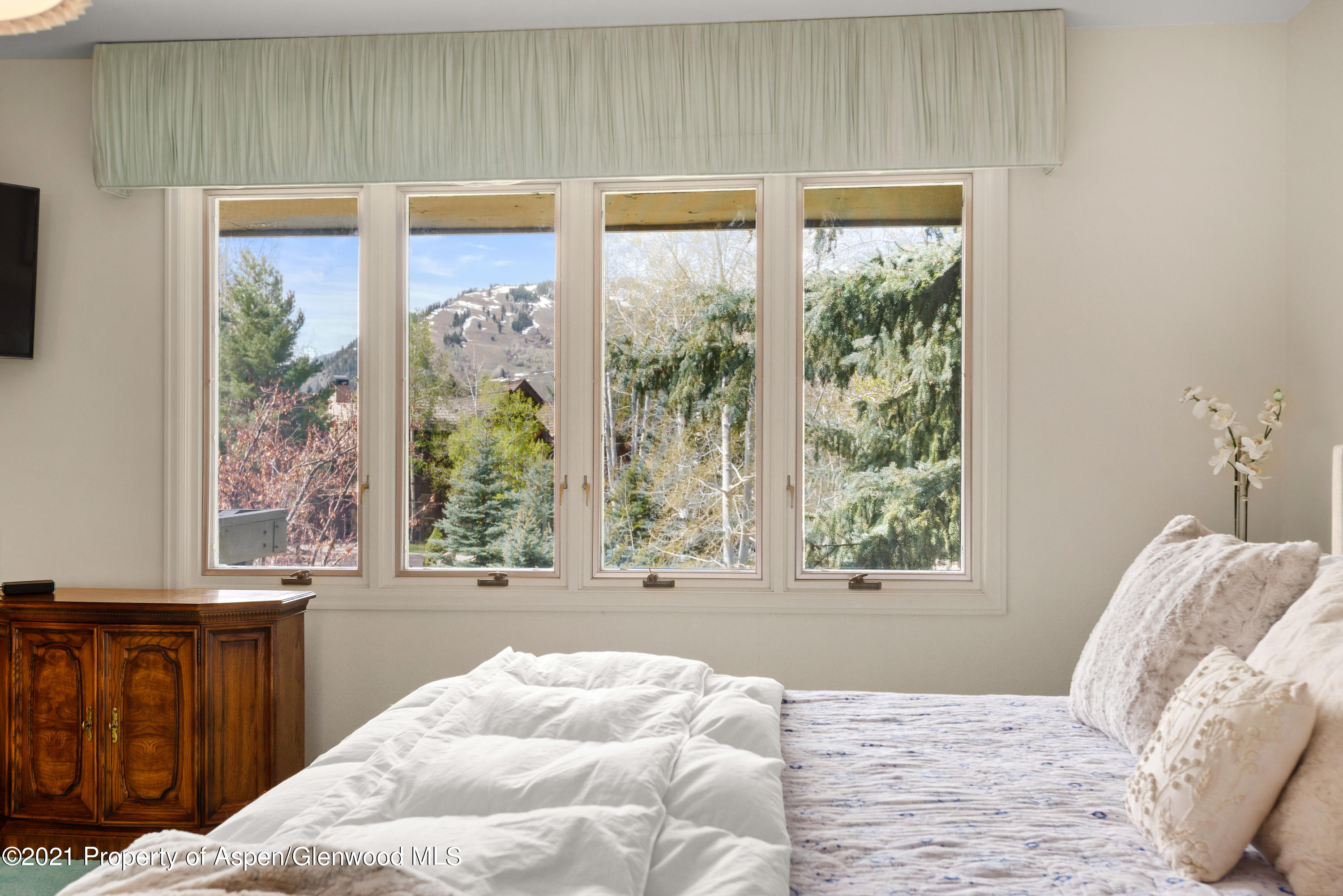 1480 Silver King Drive Aspen CO 81611
