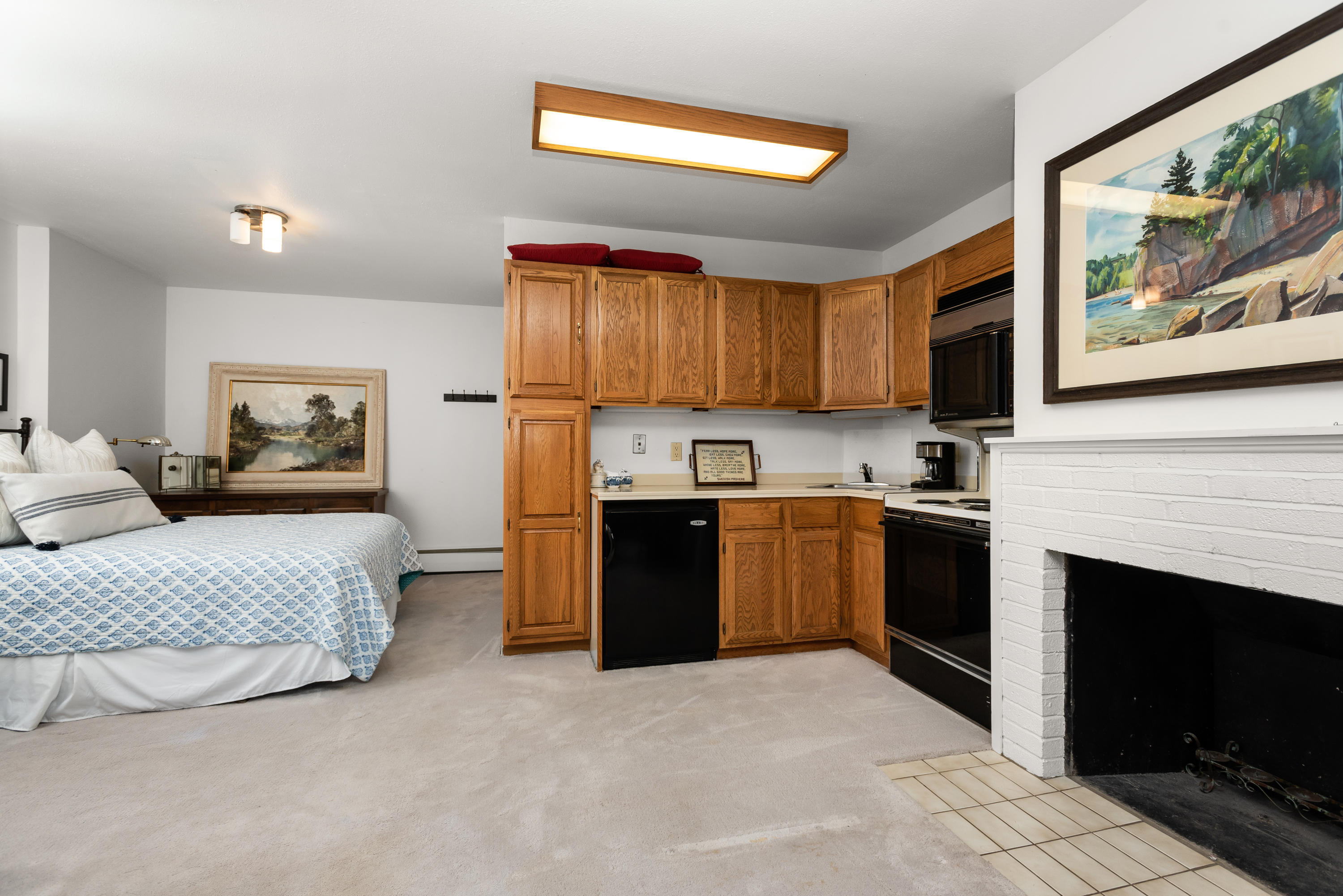 1480 Silver King Drive Aspen CO 81611