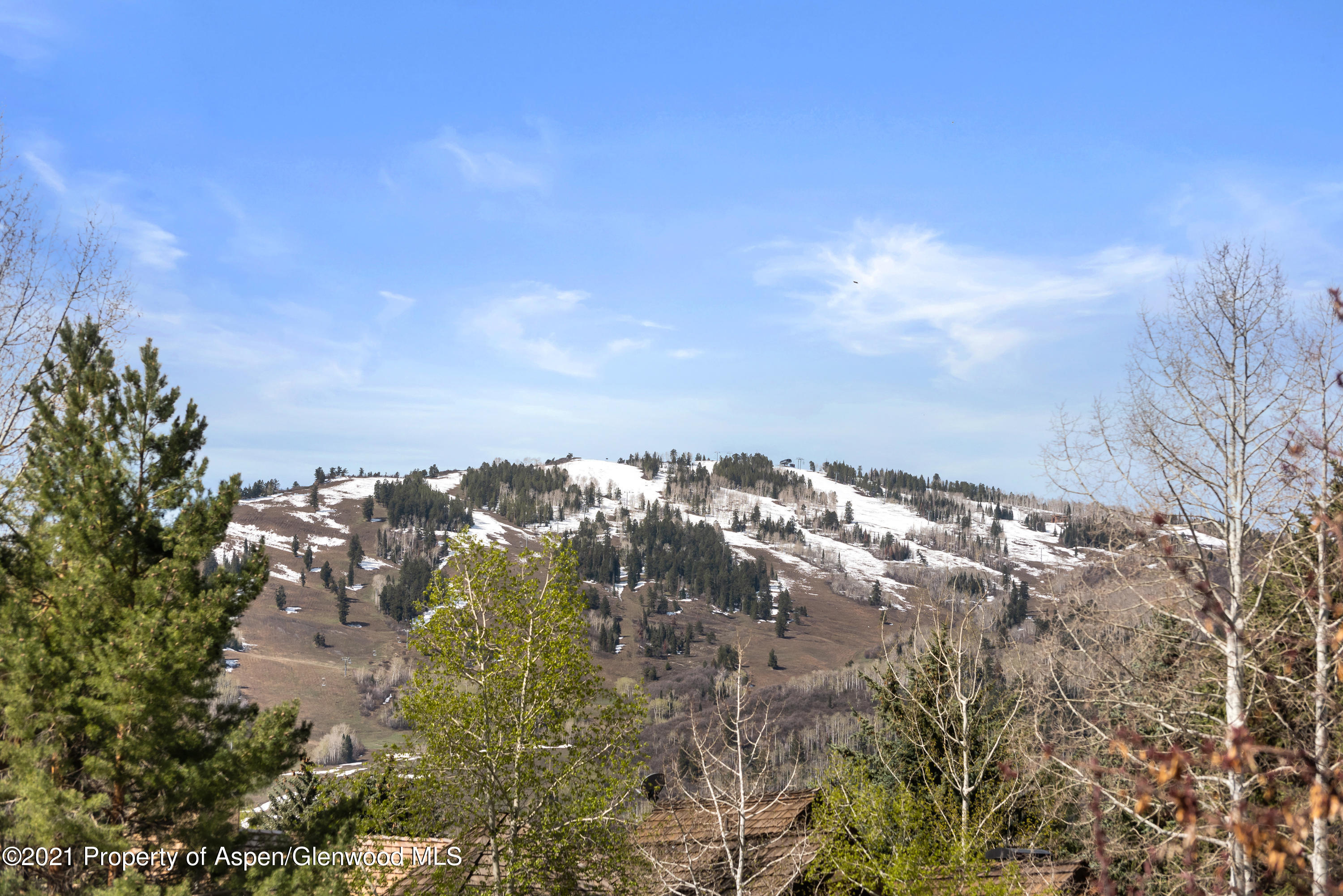 1480 Silver King Drive Aspen CO 81611
