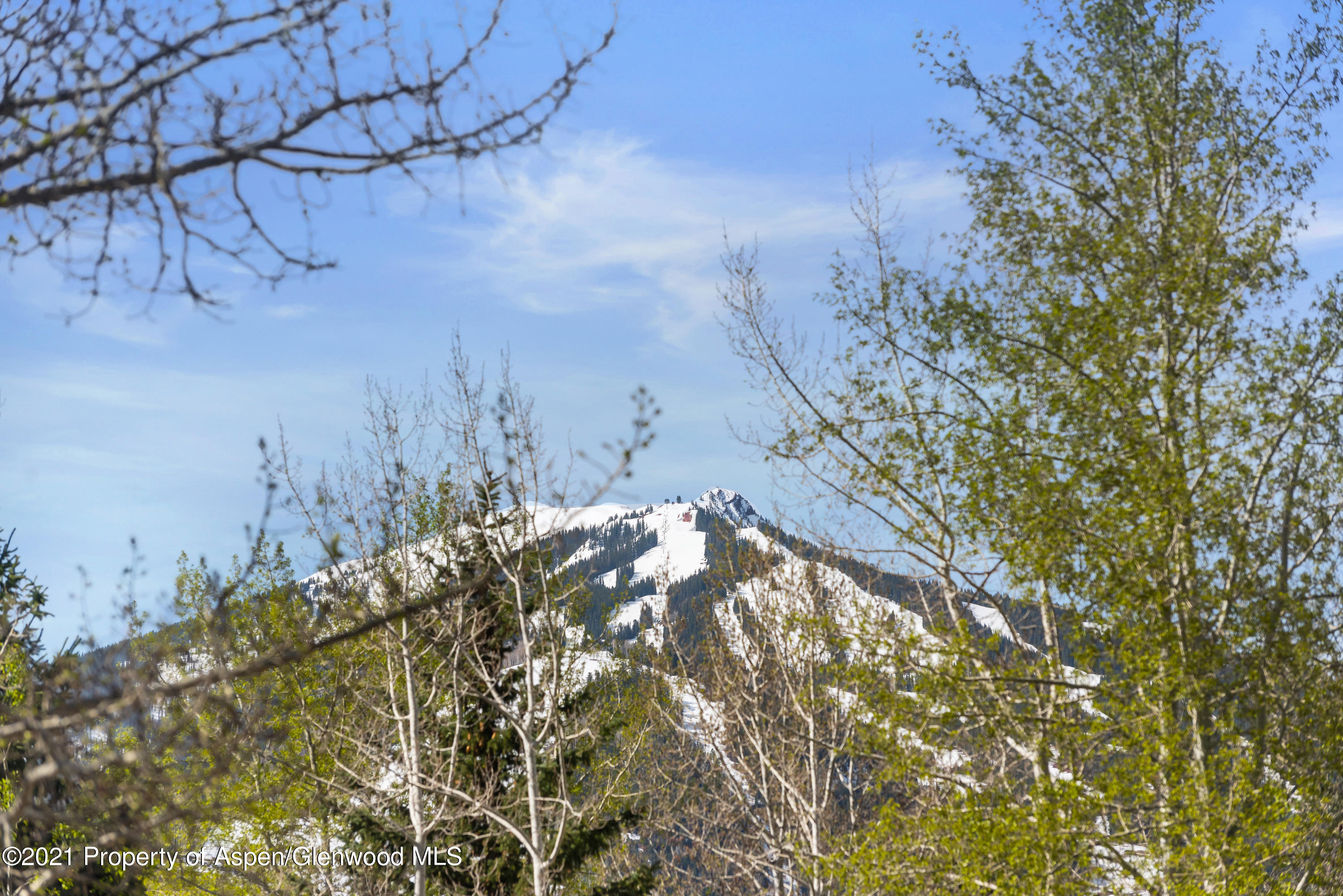 1480 Silver King Drive Aspen CO 81611