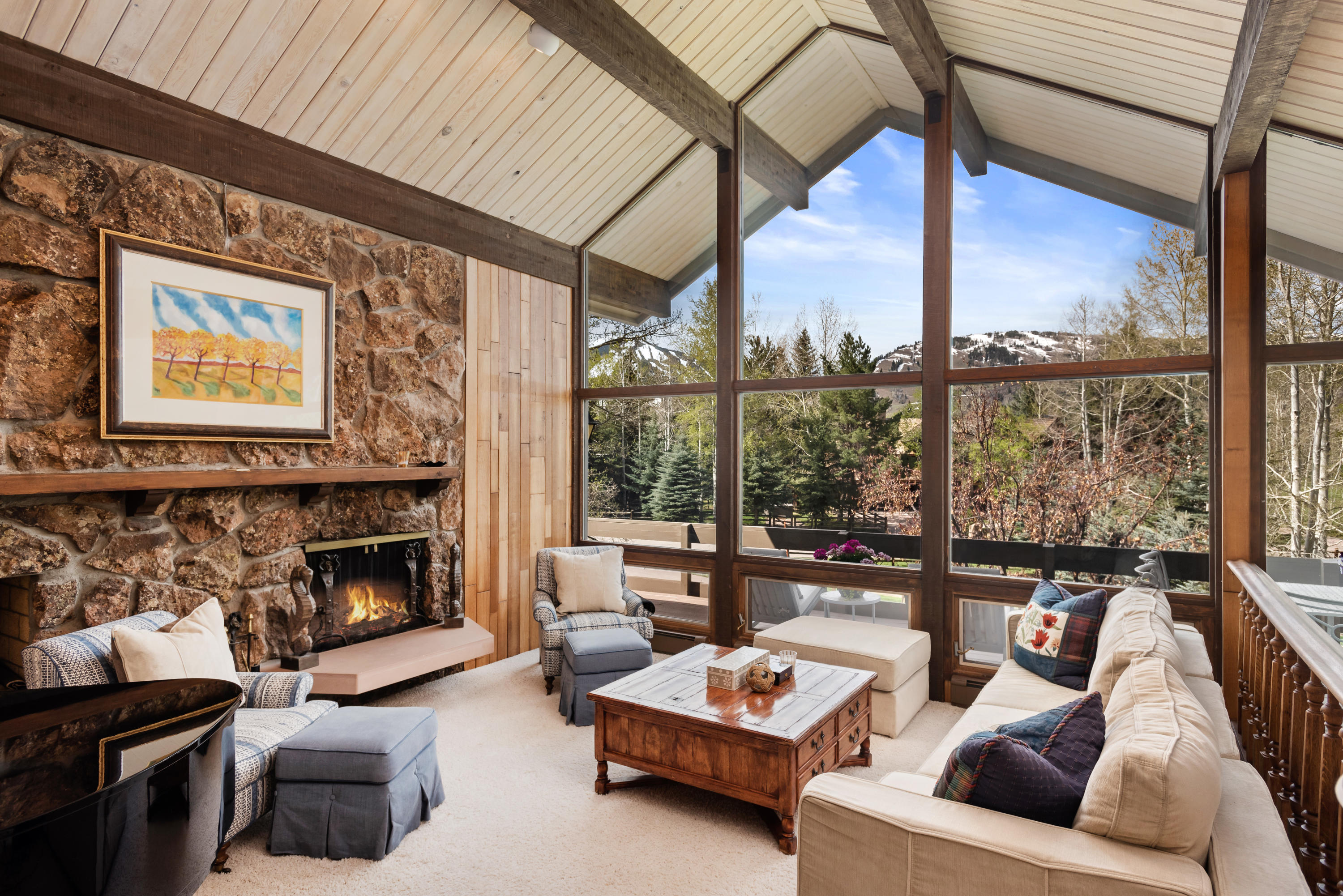 1480 Silver King Drive Aspen CO 81611
