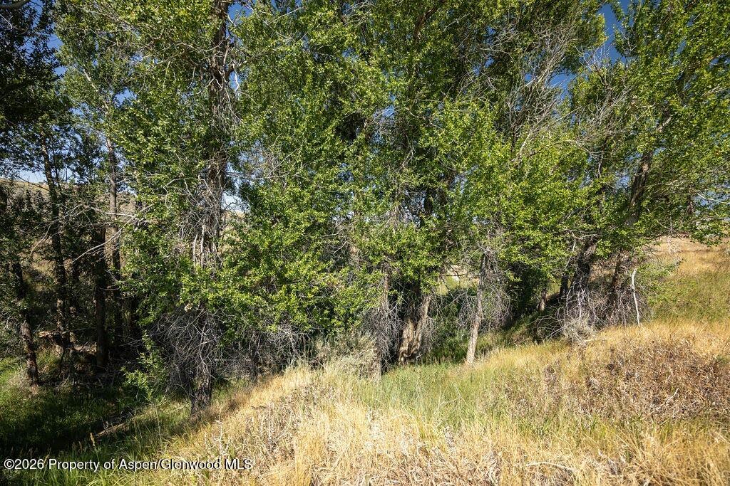 250 W 20th Street Craig CO 81625