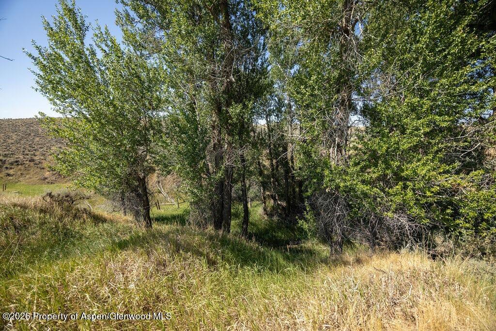 250 W 20th Street Craig CO 81625