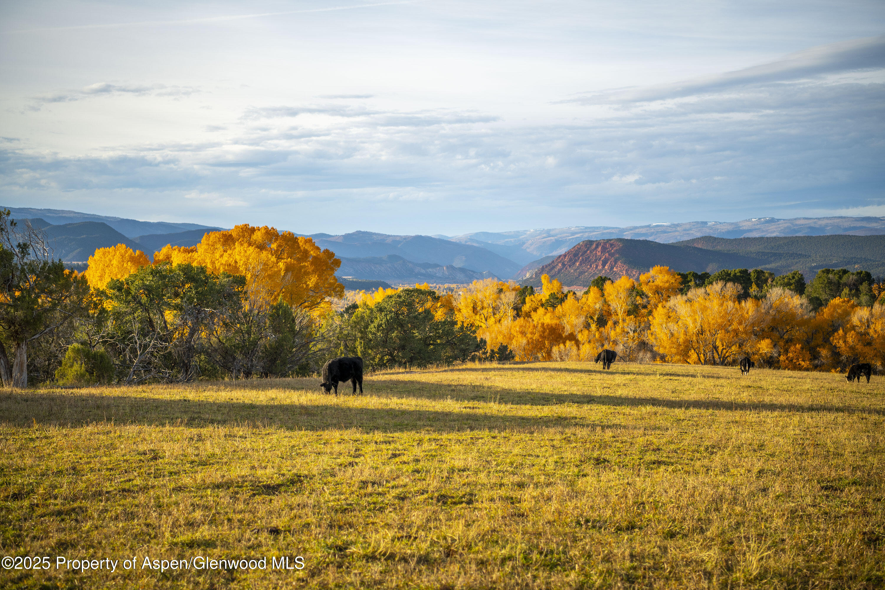 1634 Prince Creek Road Carbondale CO 81623