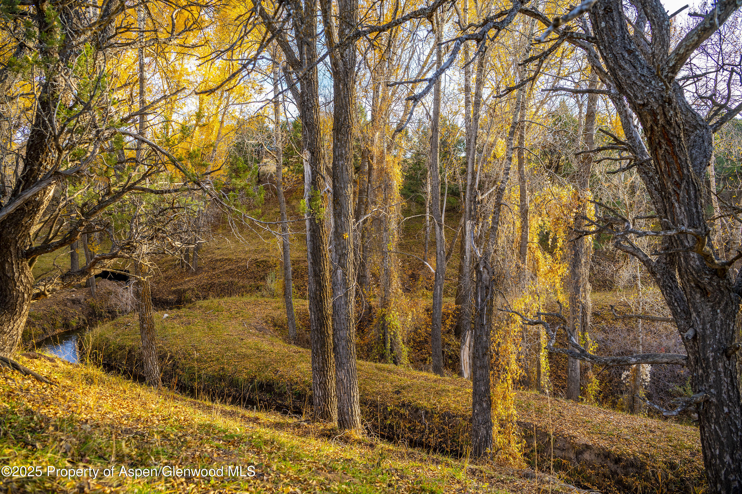 1634 Prince Creek Road Carbondale CO 81623