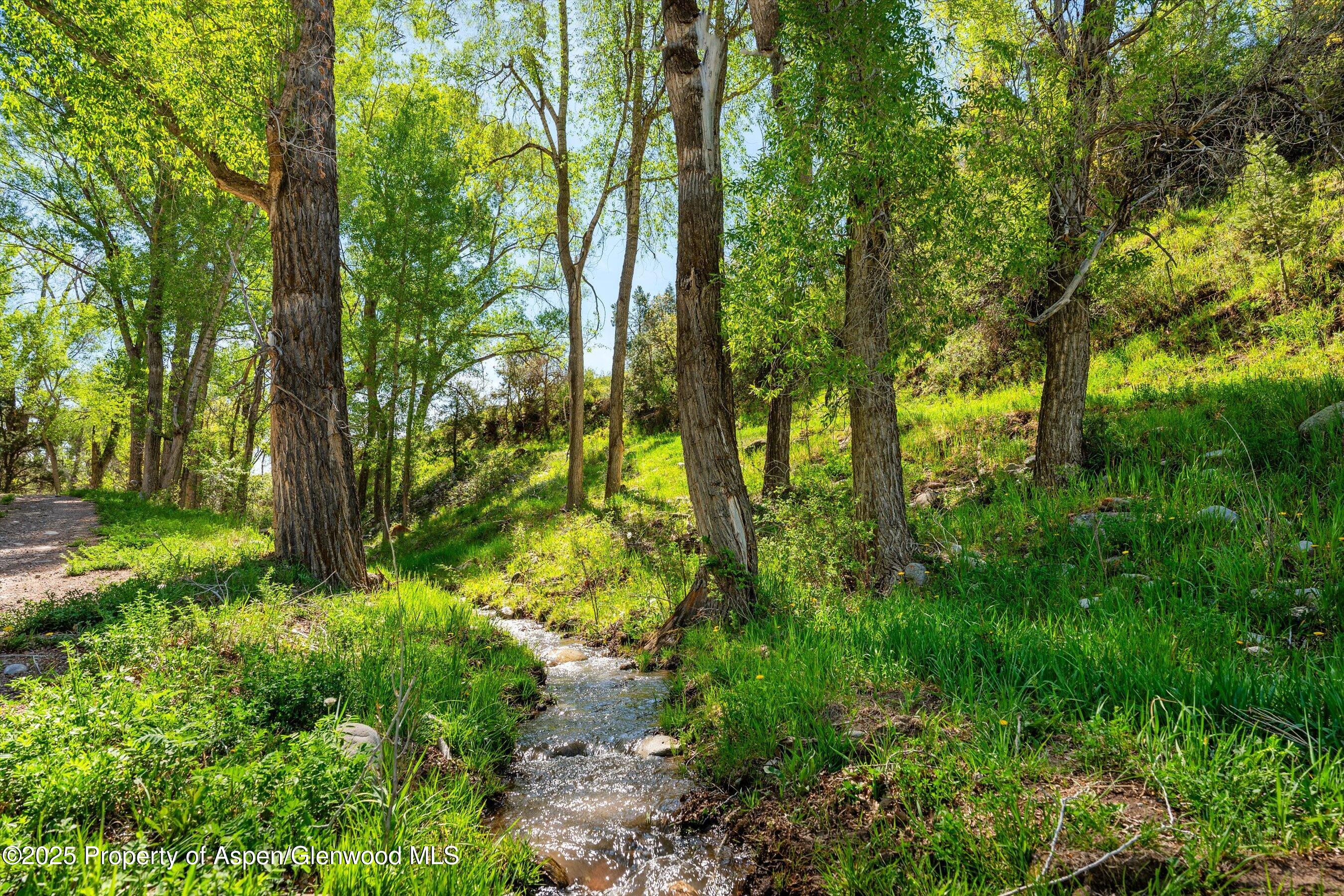 1634 Prince Creek Road Carbondale CO 81623