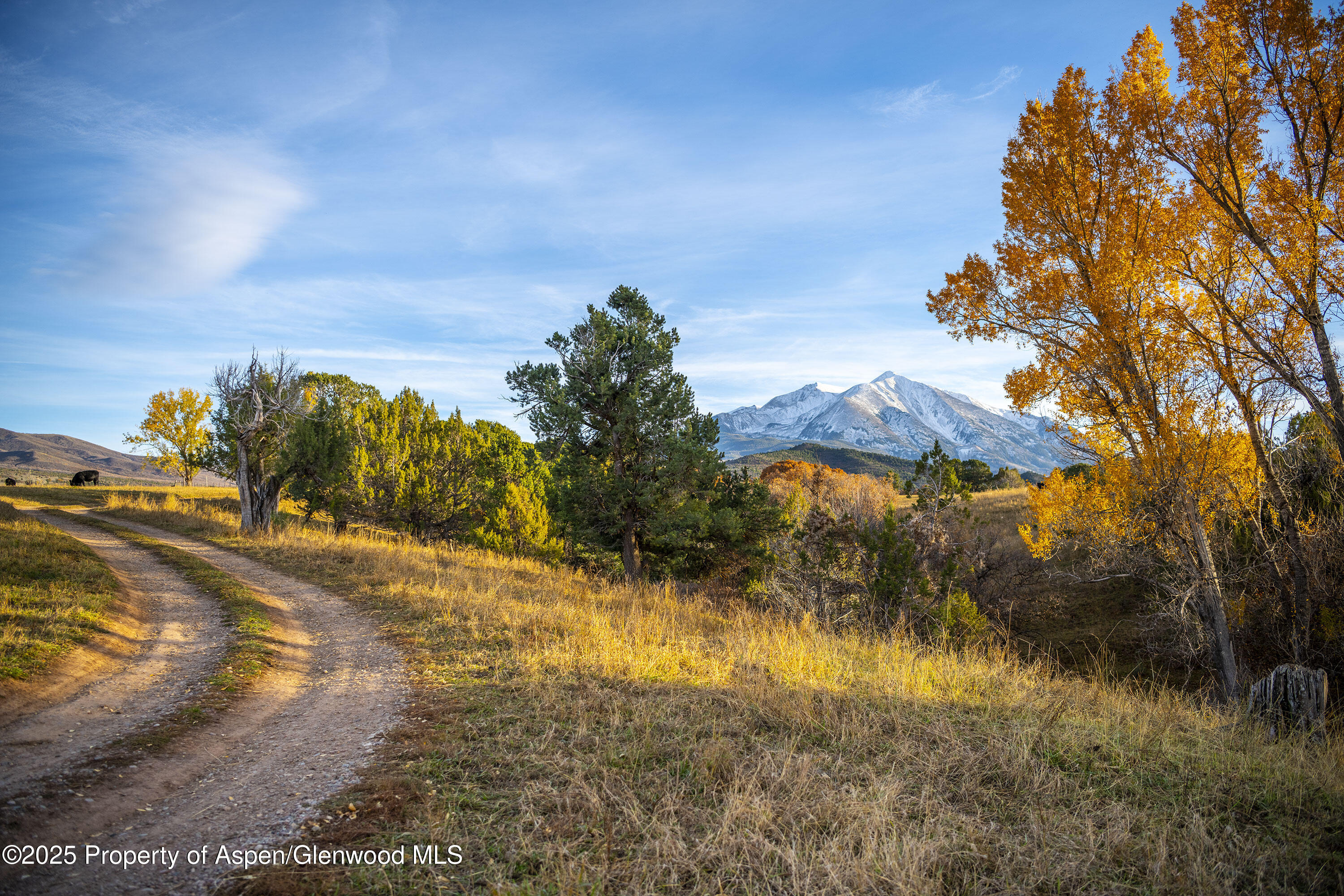 1634 Prince Creek Road Carbondale CO 81623