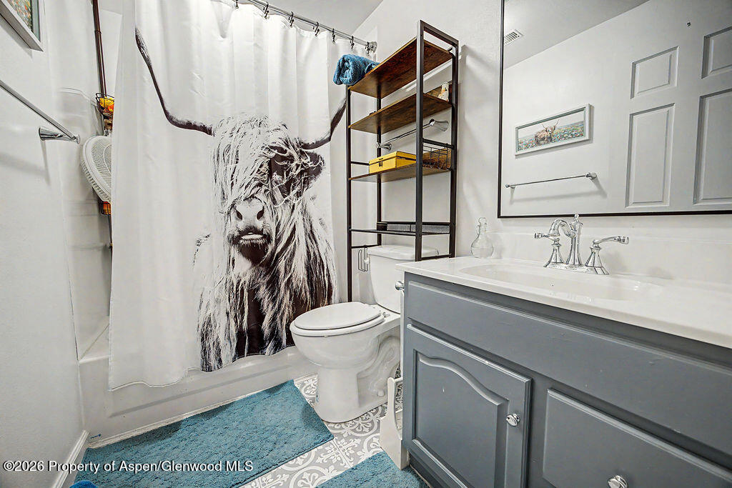 409 High Meadow Court Hayden CO 81639