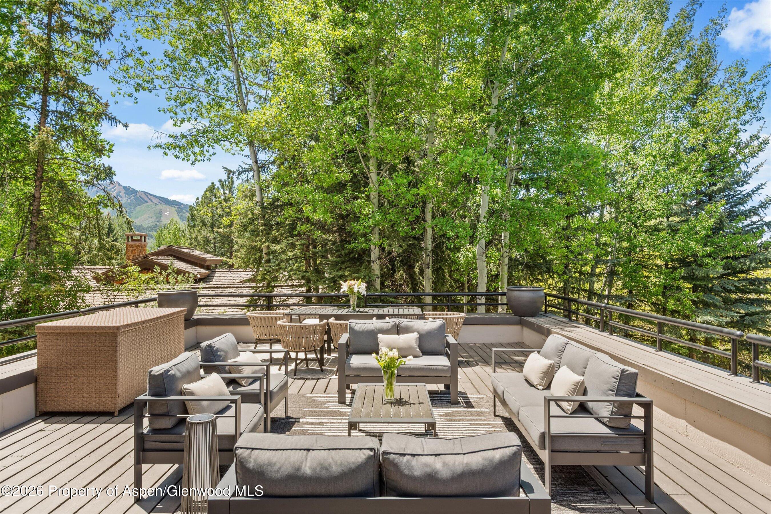 75 Bennett Court Aspen CO 81611