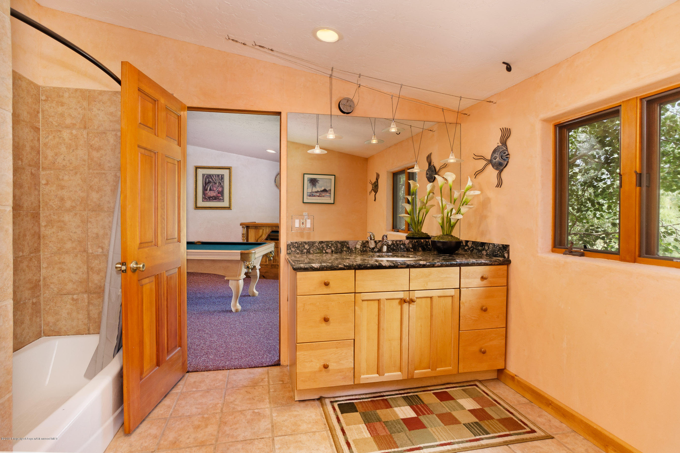 875 Rose Lane Carbondale CO 81623