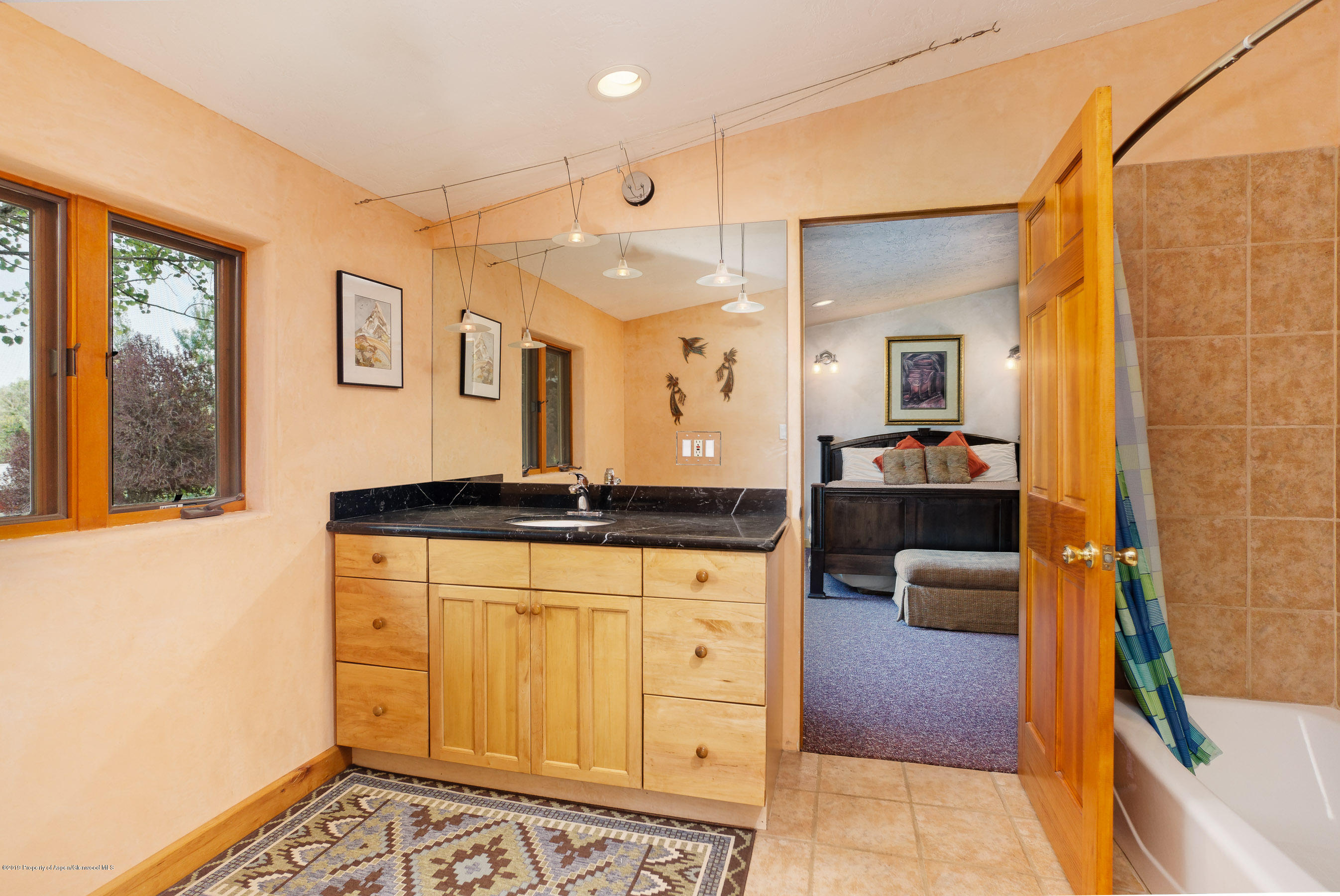 875 Rose Lane Carbondale CO 81623