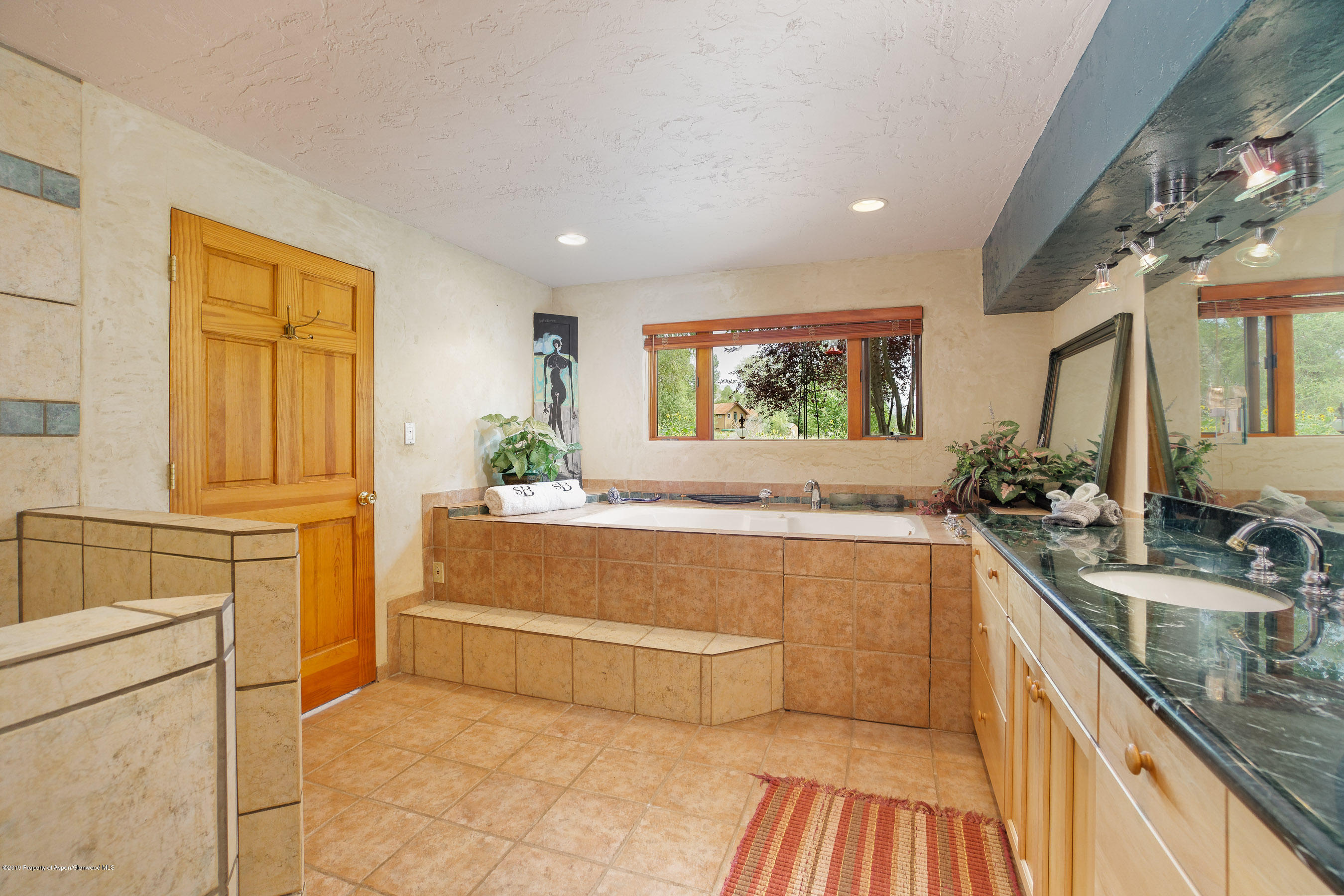 875 Rose Lane Carbondale CO 81623