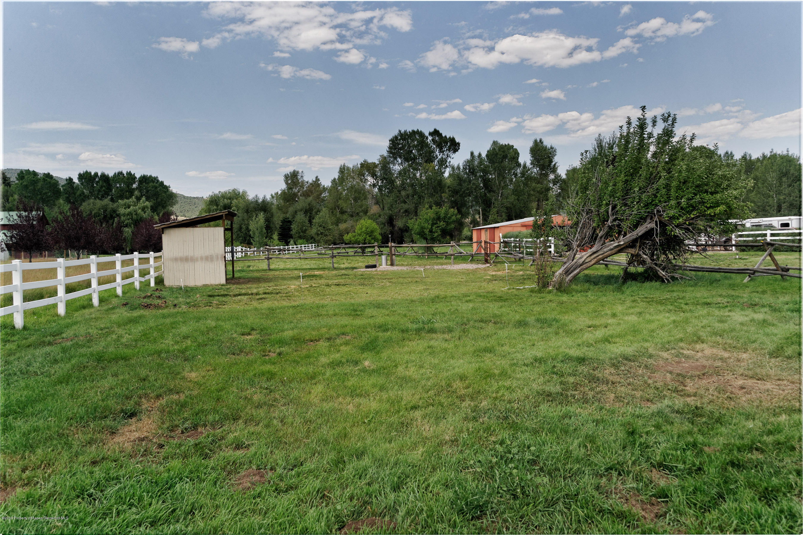 875 Rose Lane Carbondale CO 81623