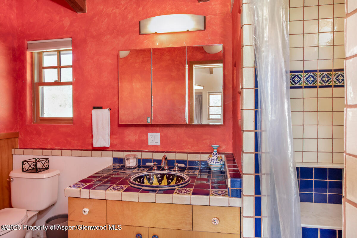 504 Crystal Circle Carbondale CO 81623