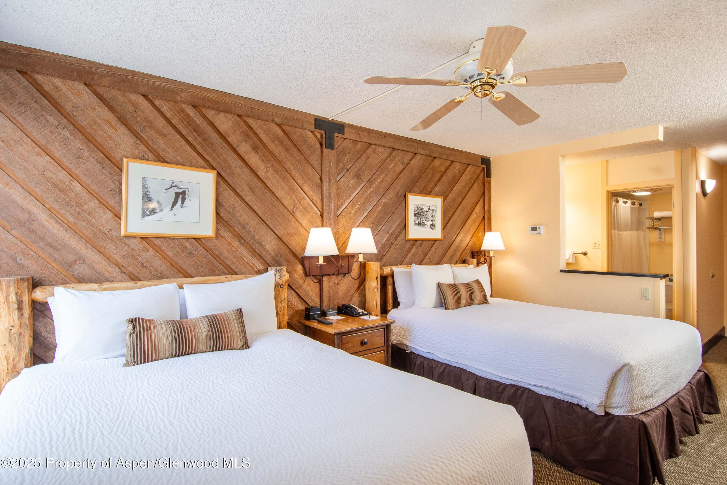 300 Carriage Way Snowmass Village CO 81615