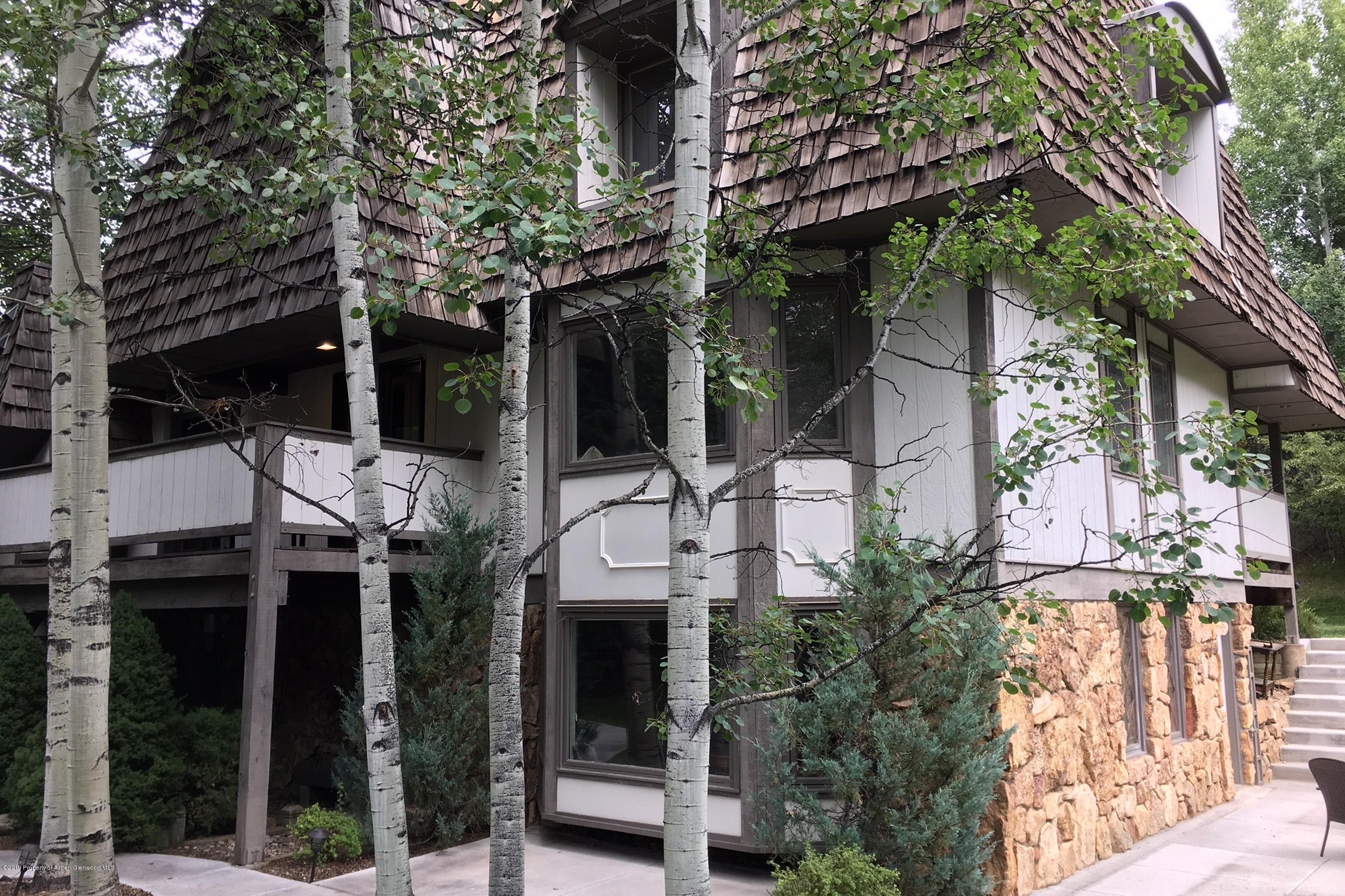 18 E Lupine Drive Aspen CO 81611