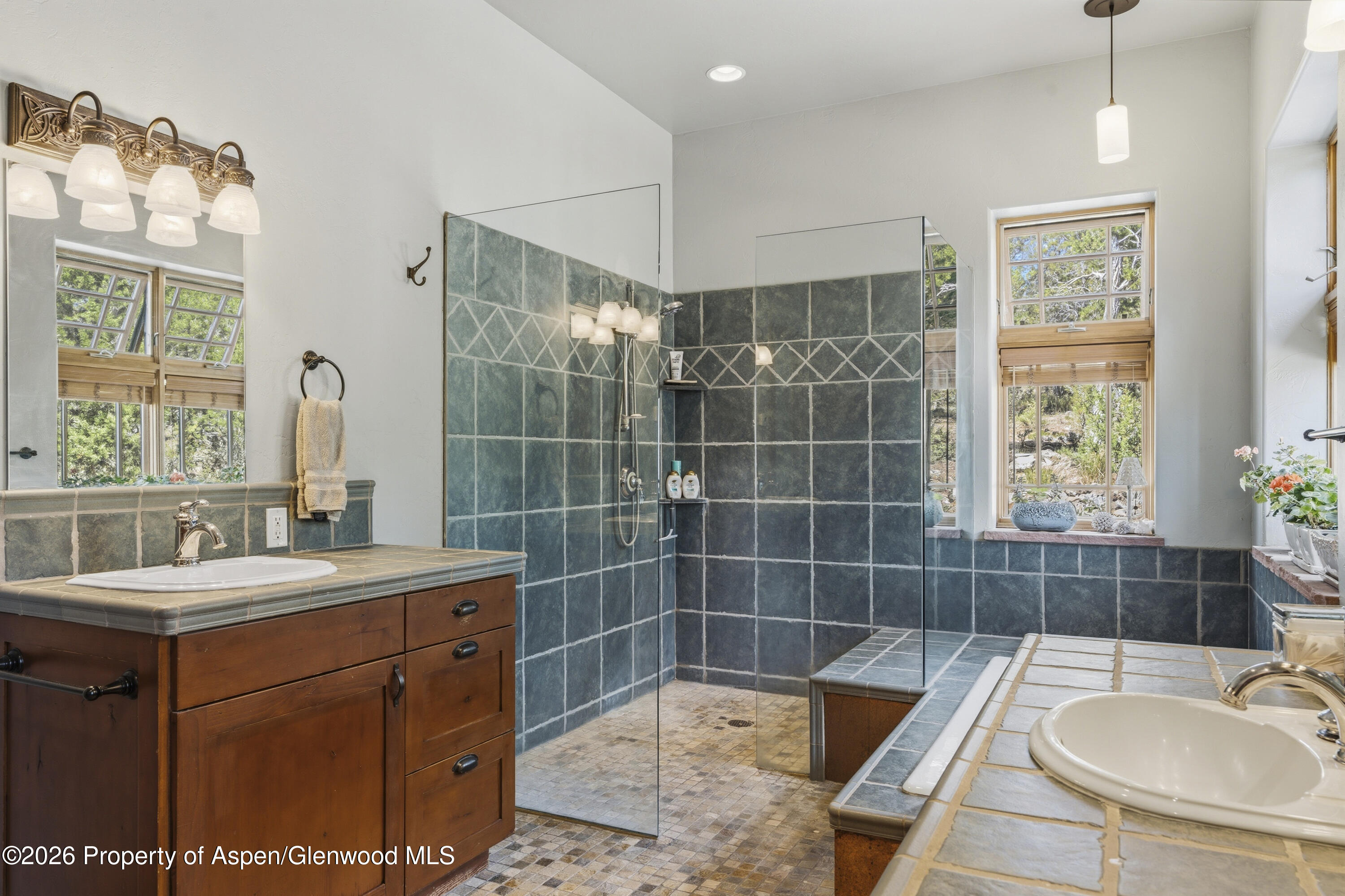 63 Crescent Lane Glenwood Springs CO 81601