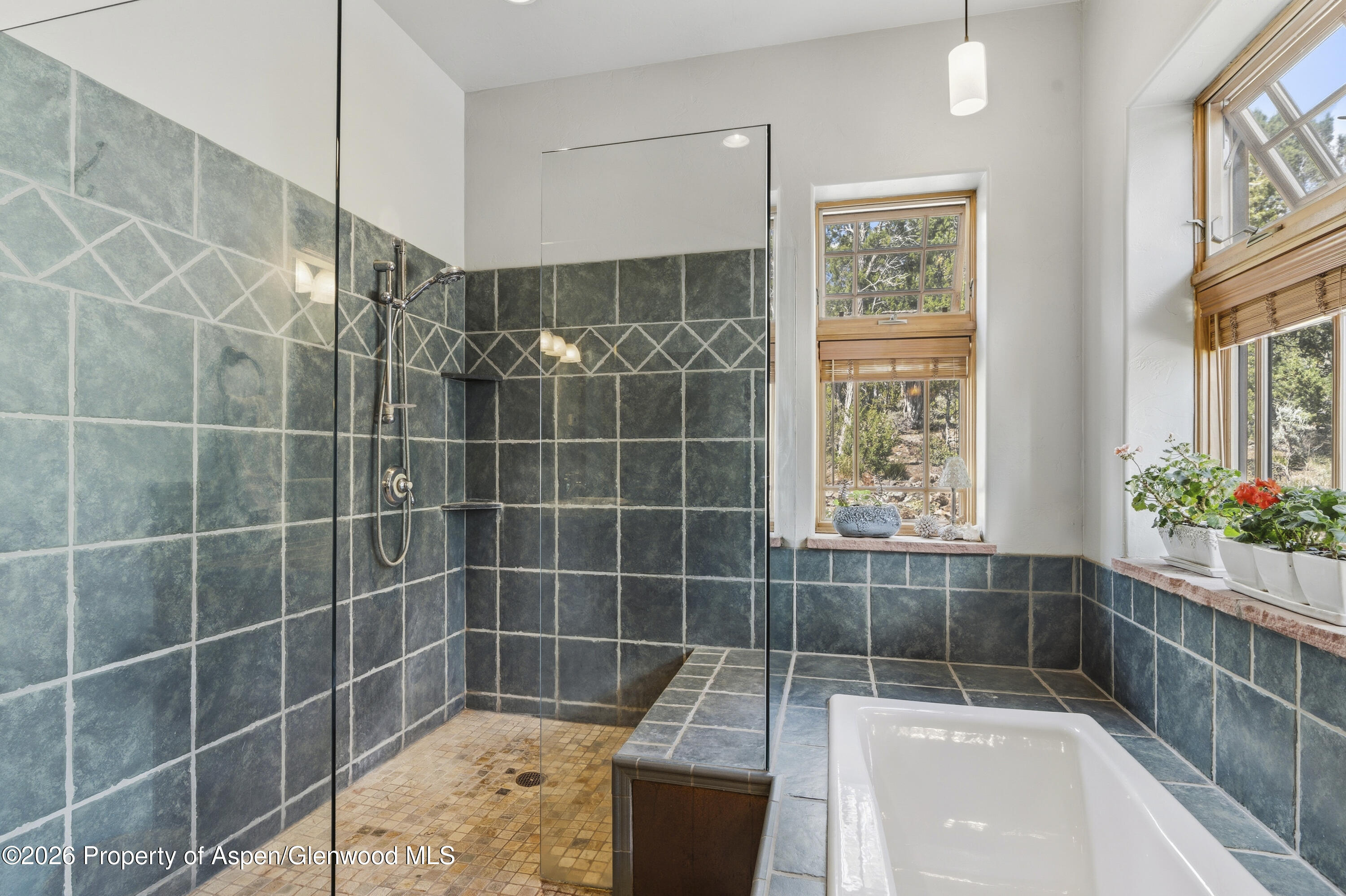 63 Crescent Lane Glenwood Springs CO 81601