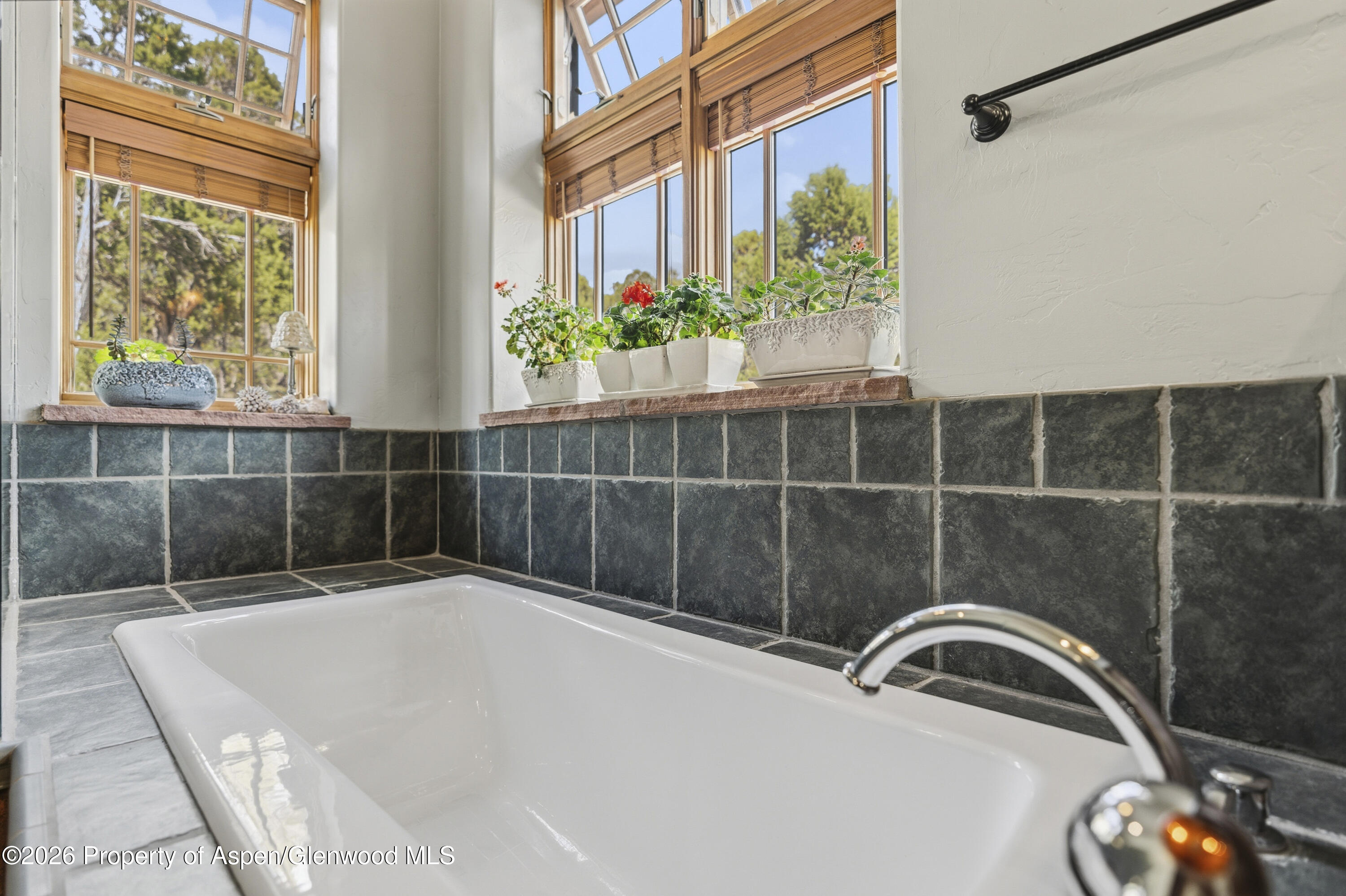 63 Crescent Lane Glenwood Springs CO 81601