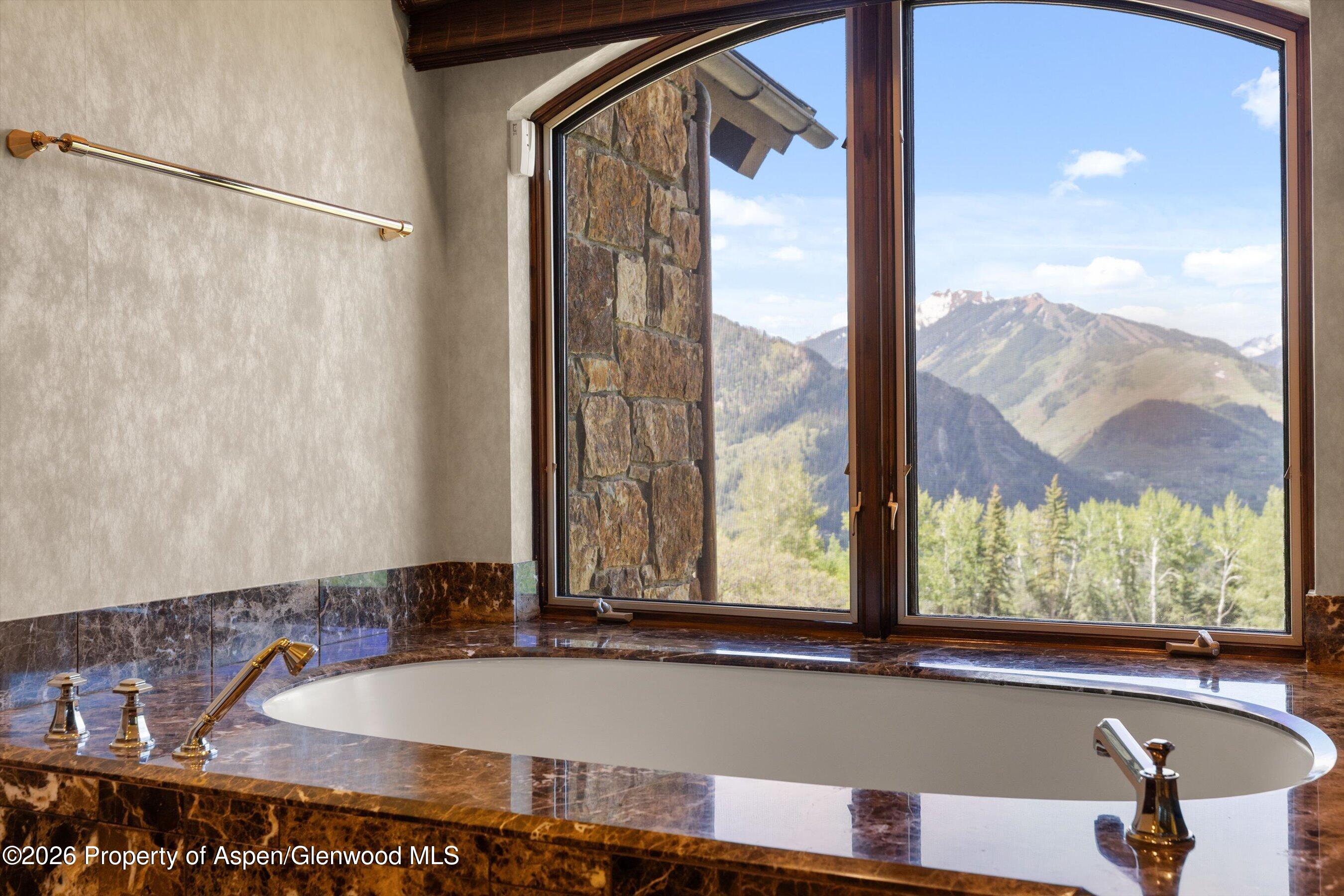 1682 Red Mountain Road Aspen CO 81611